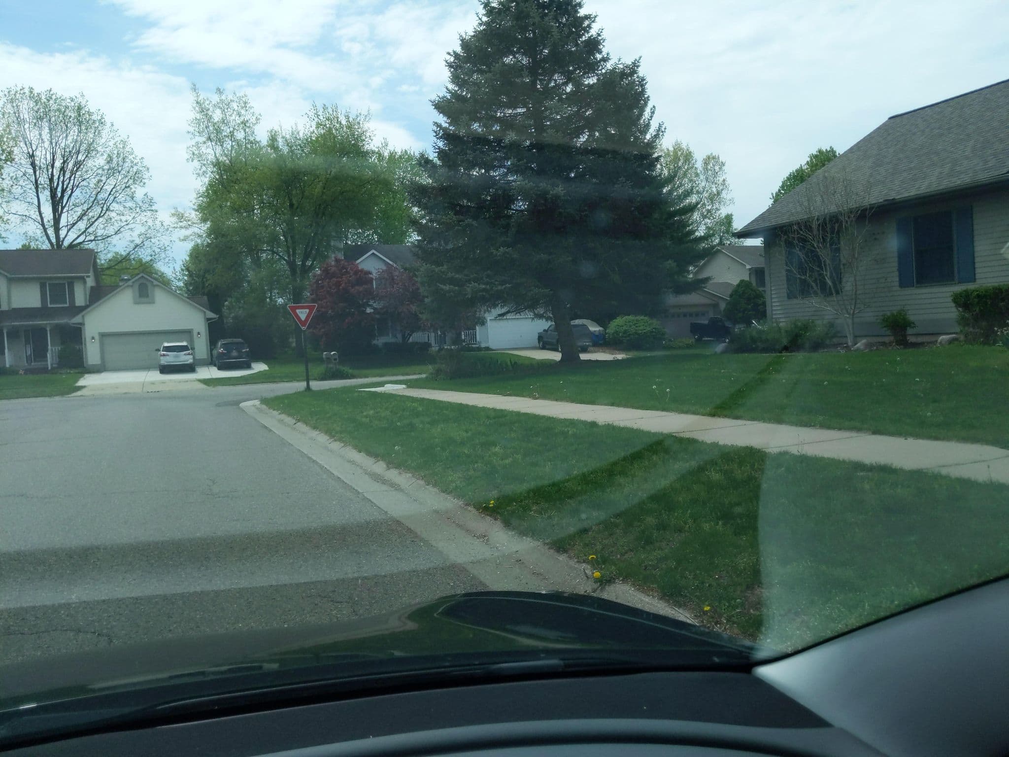 Street view near Rylie and Syds room, Holt — © treestryder (CC BY-SA · Mapillary)