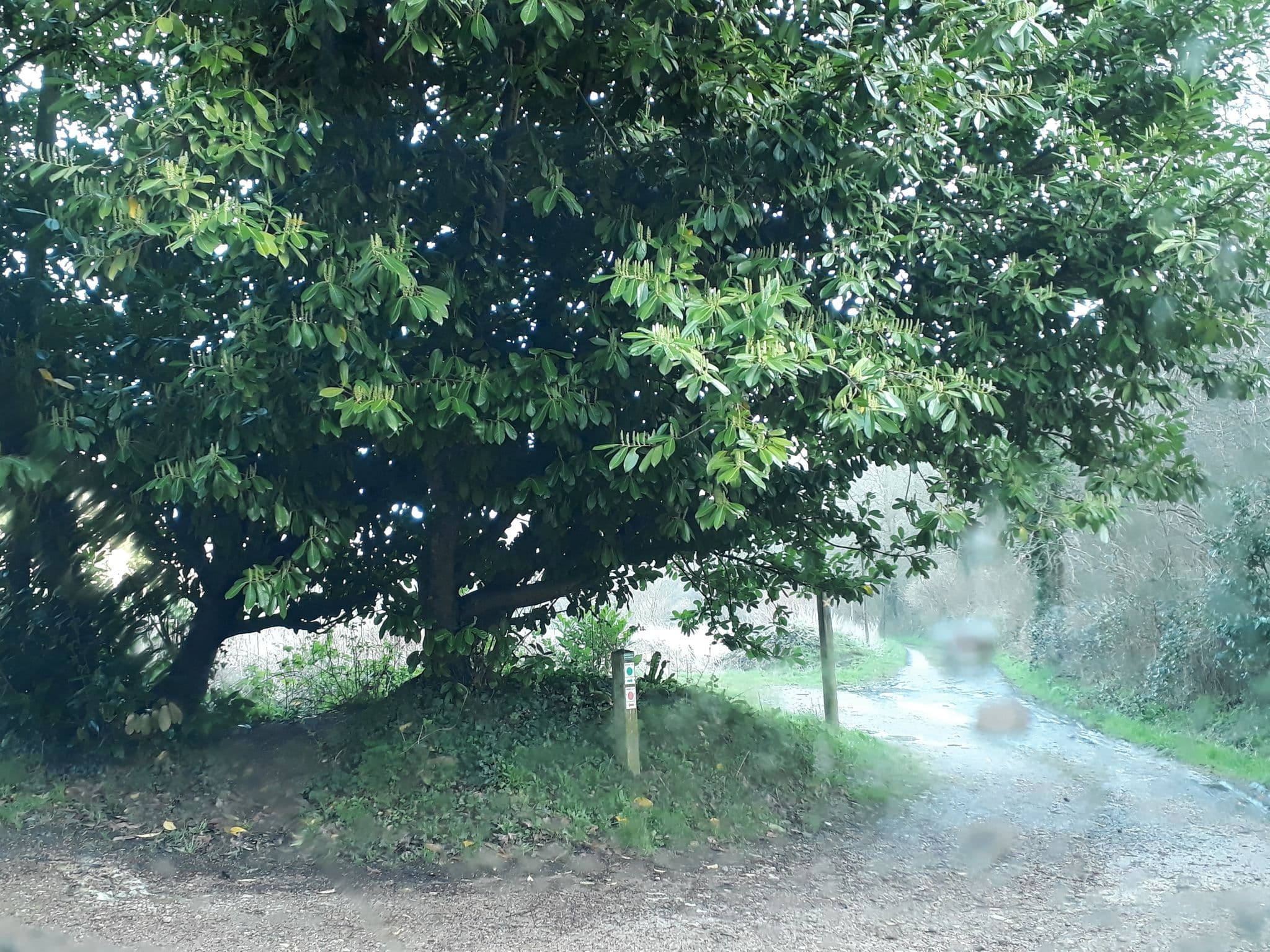 Street view near Les Amis de la Nature, Yport — © jerome_pietri (CC BY-SA · Mapillary)