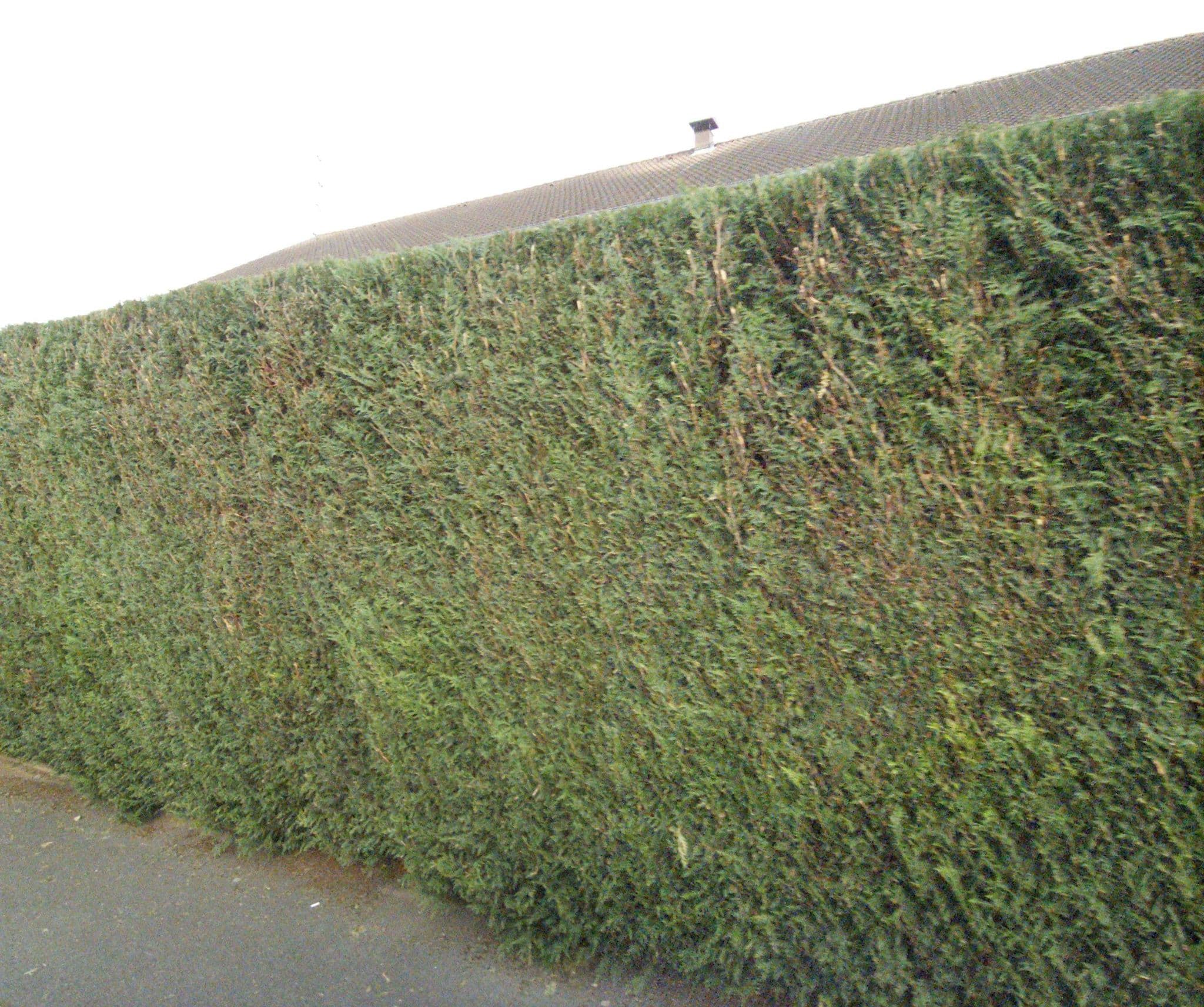 Street view near Campanile, Seclin — © melimmergis (CC BY-SA · Mapillary)