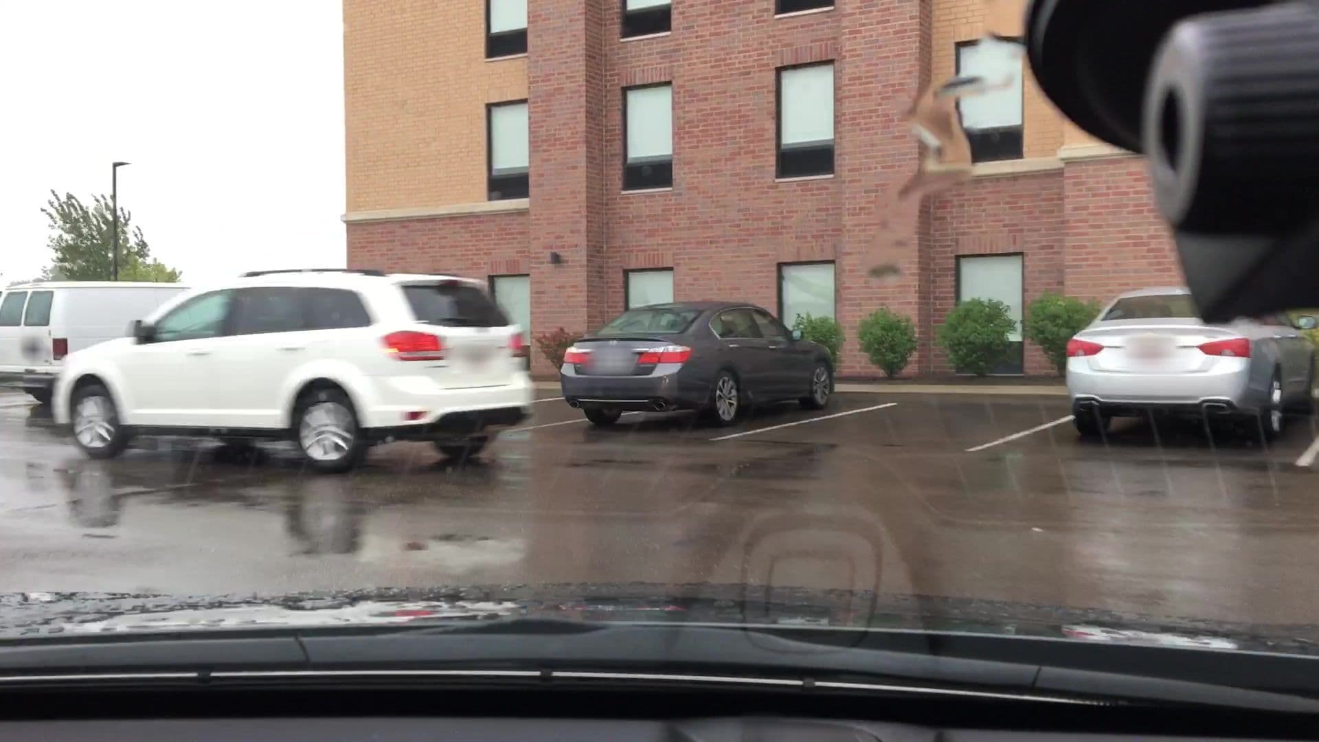 Street view near Hampton Inn & Suites, Wixom — © lvl5 (CC BY-SA · Mapillary)