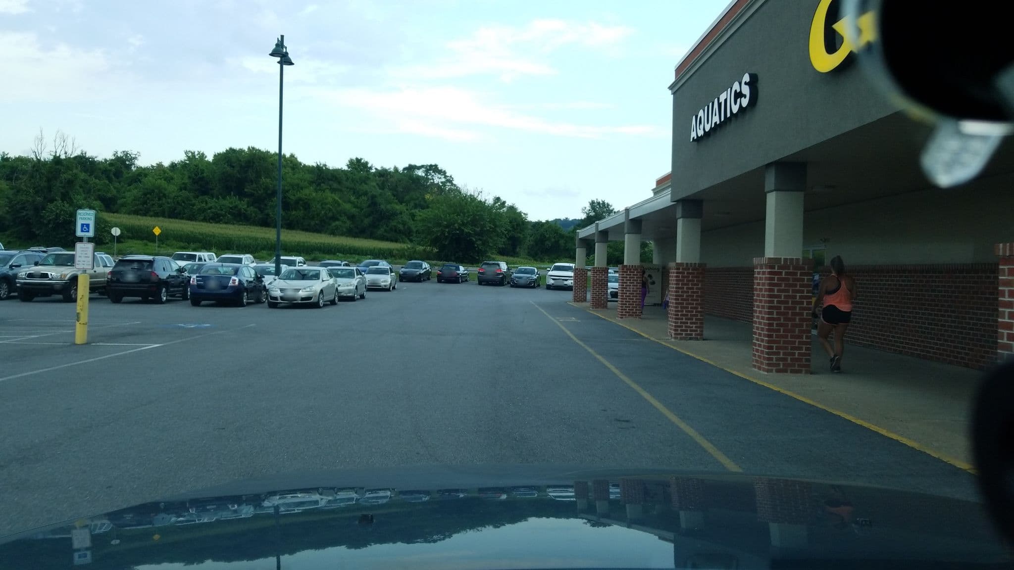 Street view near Travel Champs, Hummelstown — © dgearhart (CC BY-SA · Mapillary)