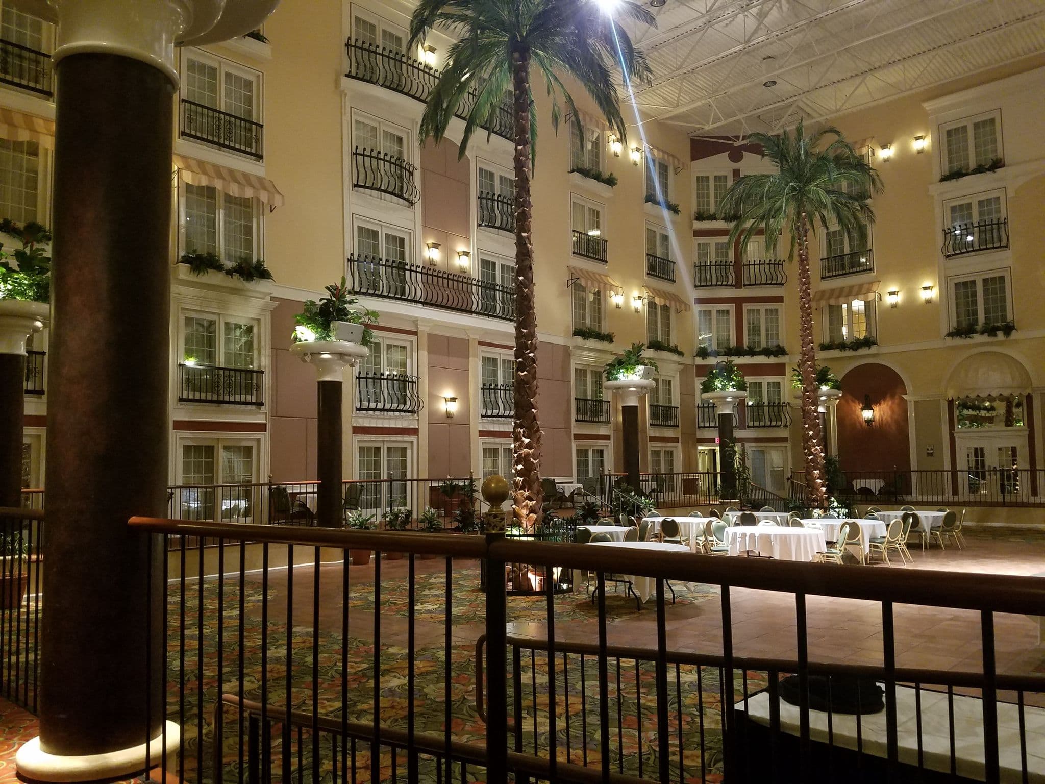 Street view near Palm Court, Willow Street — © jbthemilker (CC BY-SA · Mapillary)