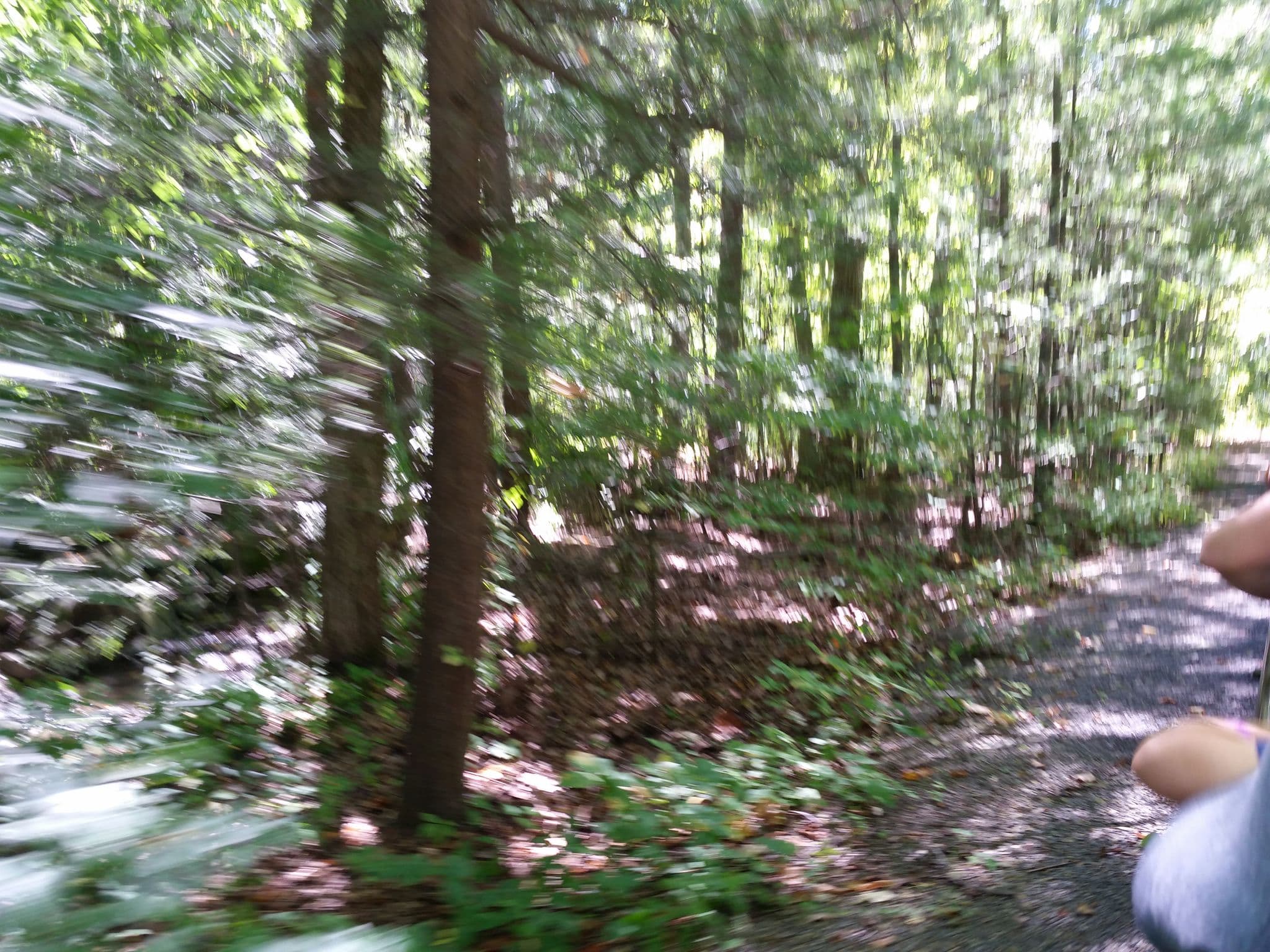 Street view near Conway Cottage, Elysburg — © bonius (CC BY-SA · Mapillary)