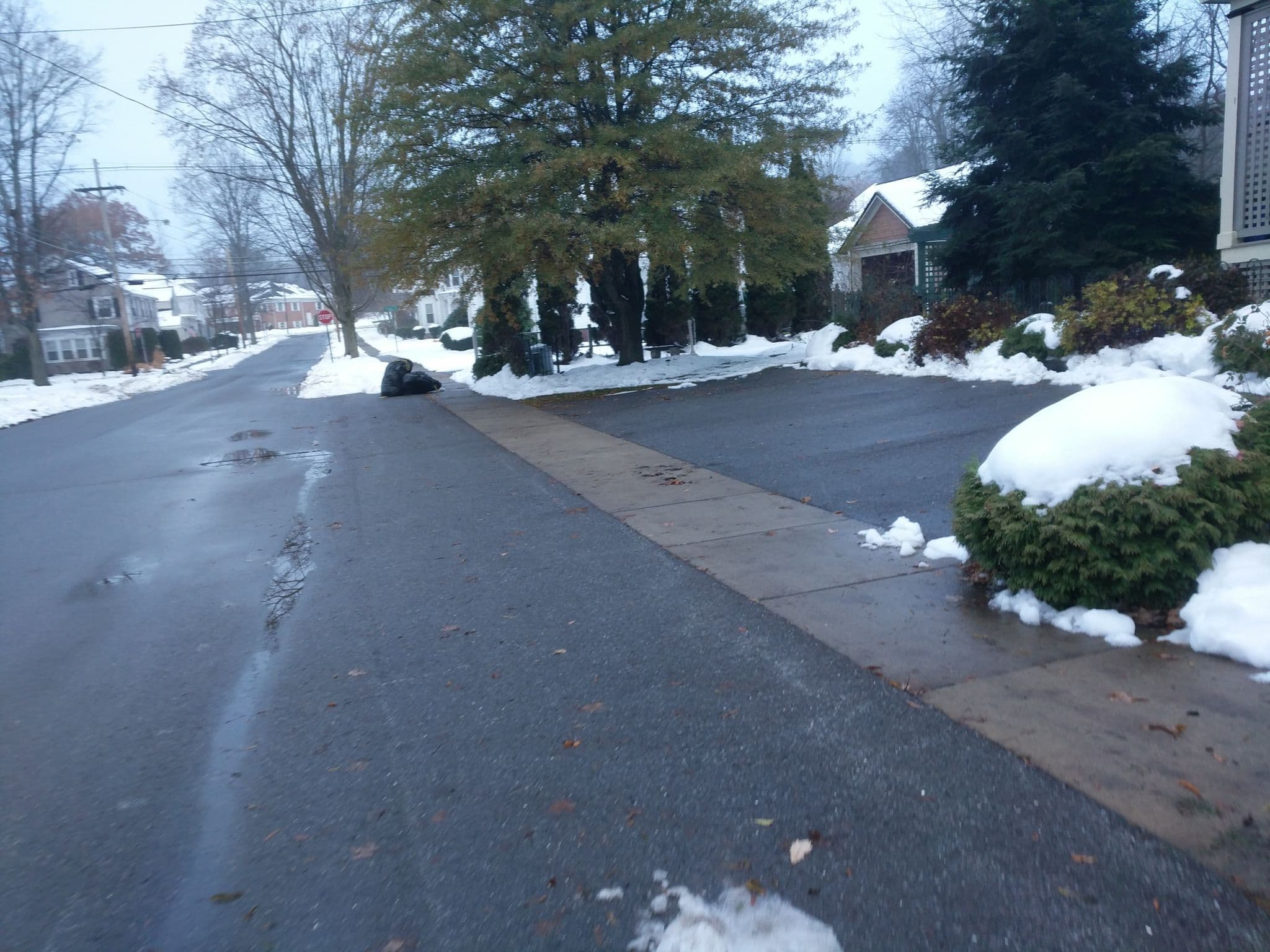 Street view near 131 Main, Wellsboro — © daalso (CC BY-SA · Mapillary)