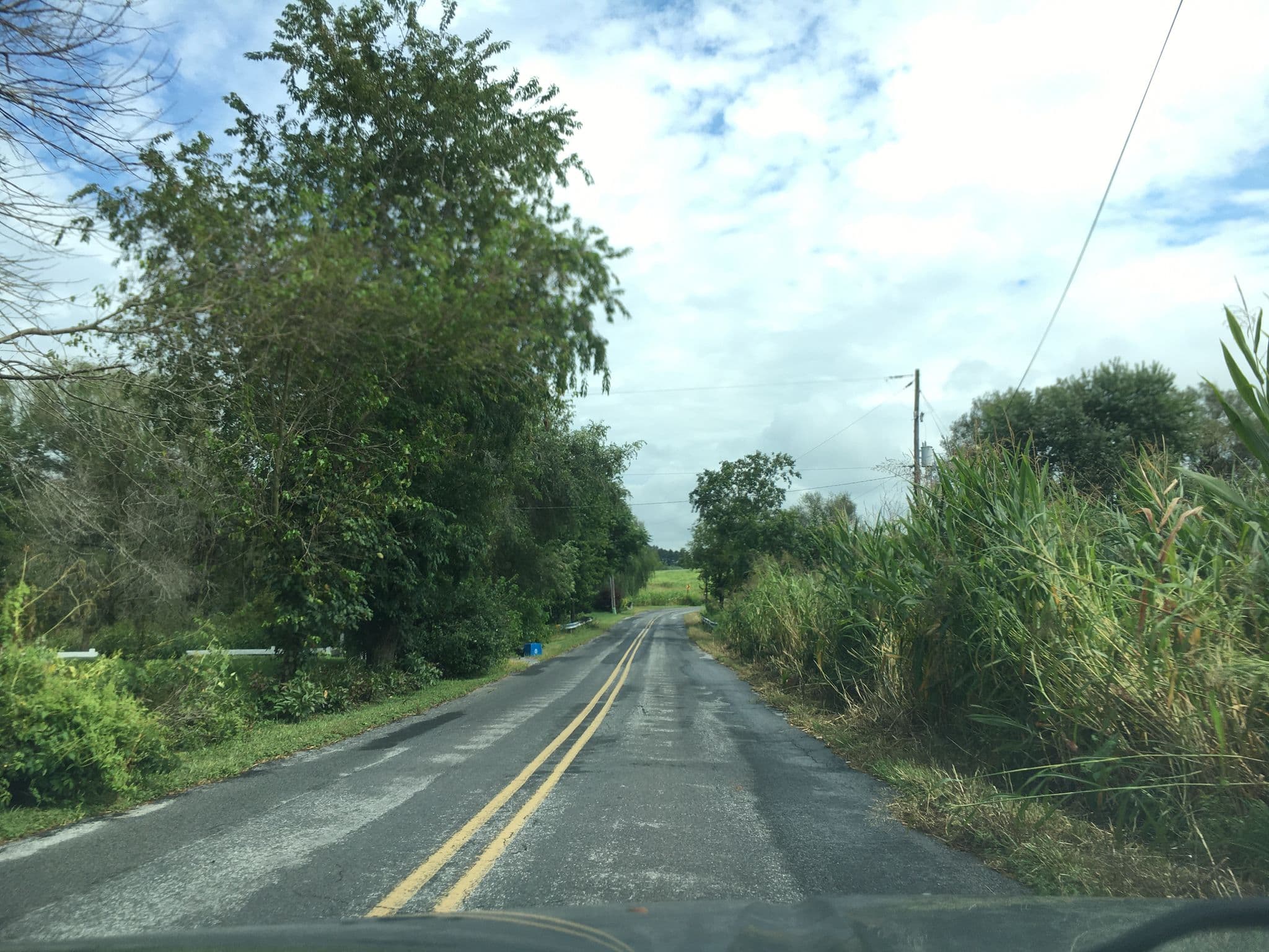 Street view near Die Bauerei Bed & Breakfast, Kutztown — © cpels23 (CC BY-SA · Mapillary)