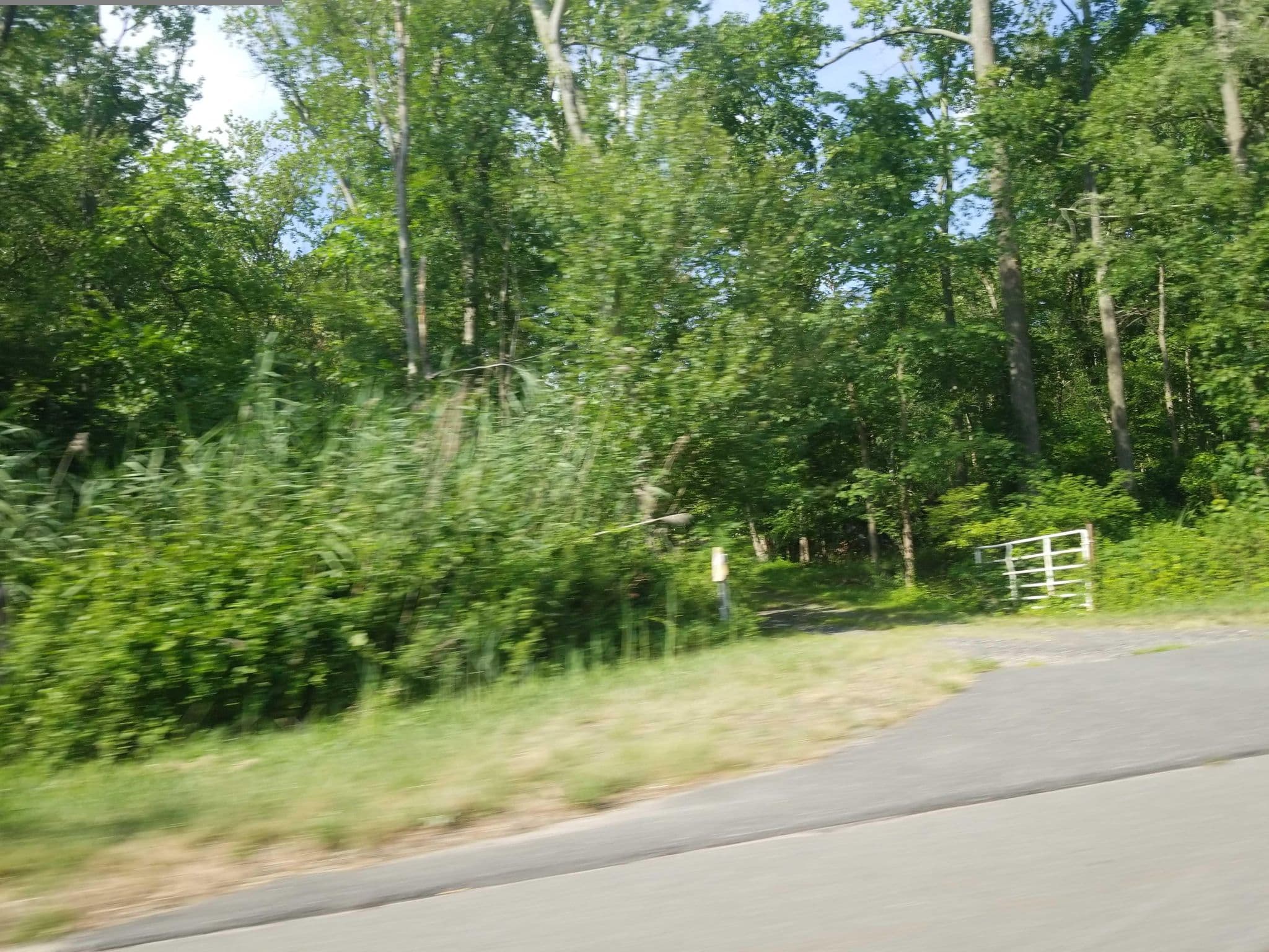 Street view near Summer Oasis, Vincentown — © DrivingRoundTown (CC BY-SA · Mapillary)