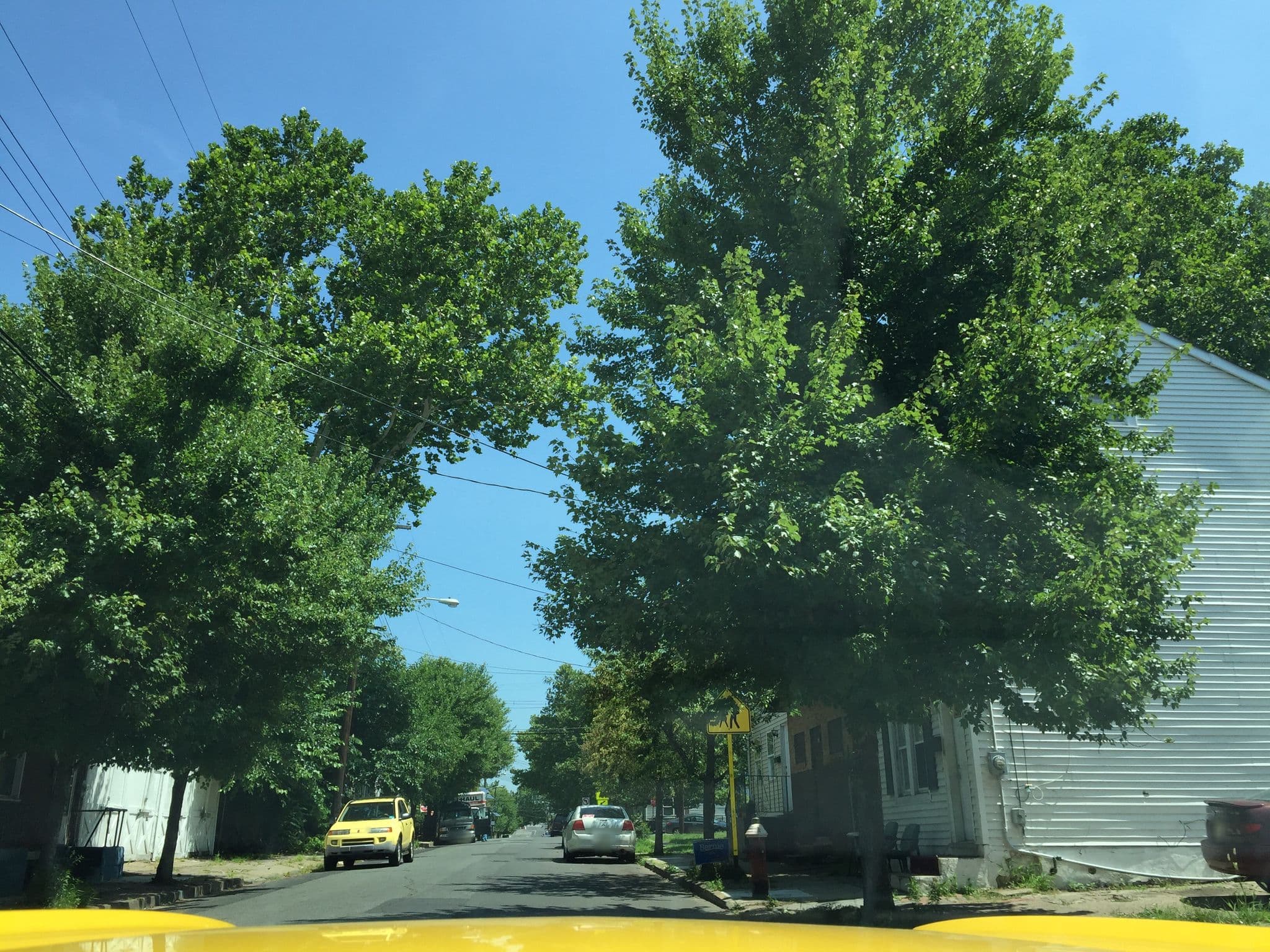 Street view near Hill Top Hotel, Trenton — © richlv (CC BY-SA · Mapillary)