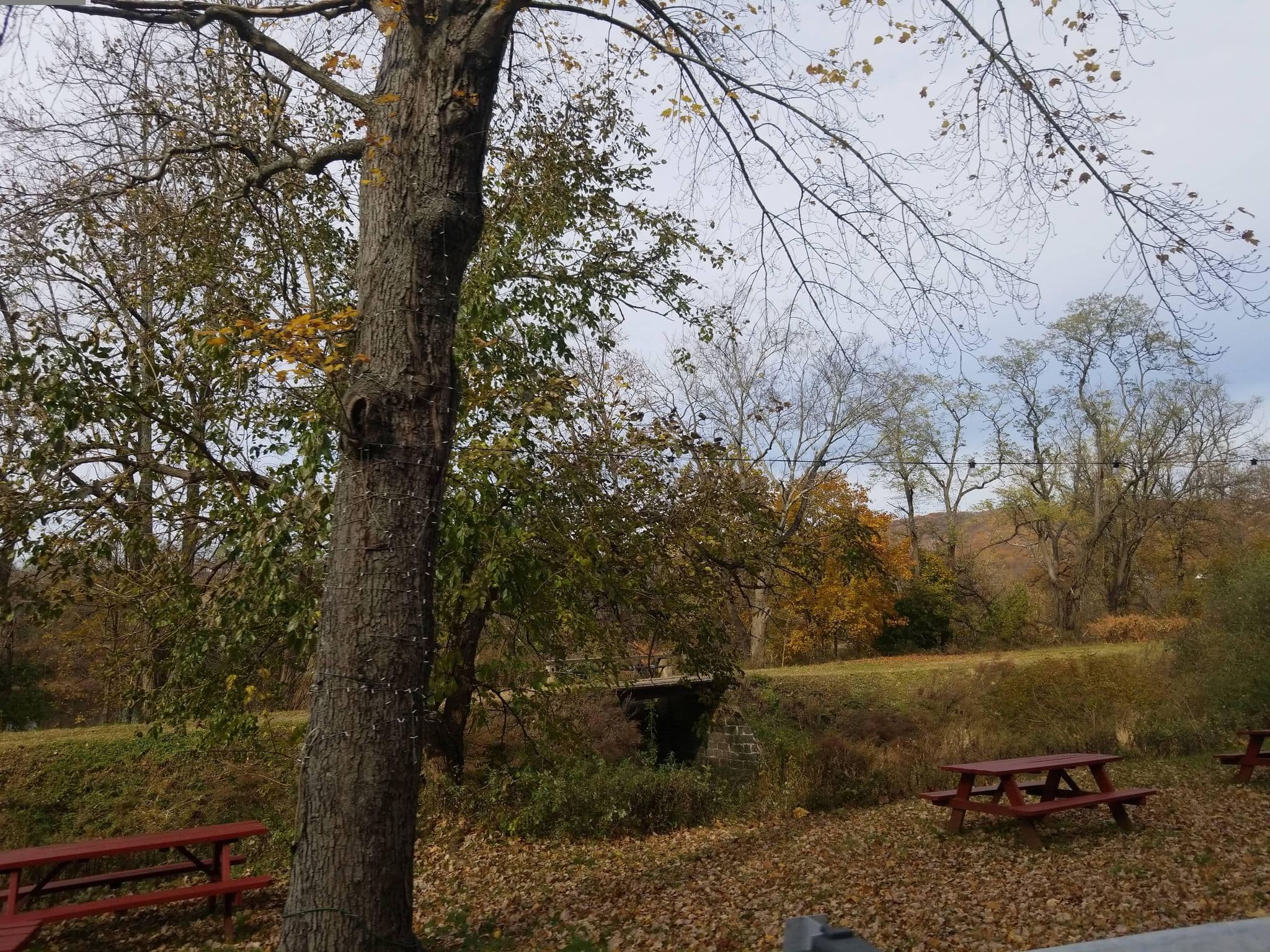Street view near Indian Rock Inn, Raubsville — © DrivingRoundTown (CC BY-SA · Mapillary)