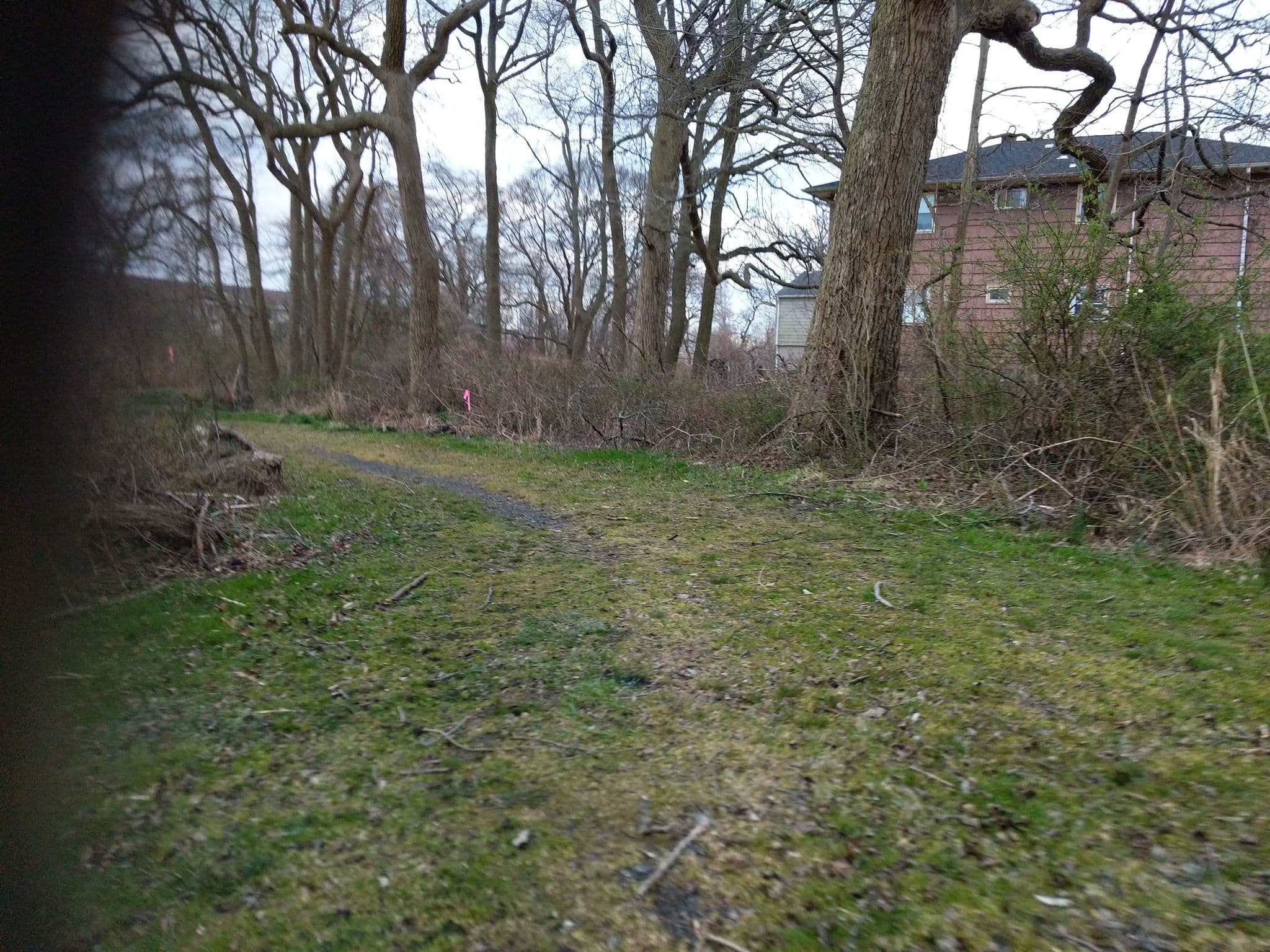 Street view near Empress Maria's Beach Extravaganza, Monmouth Beach — © init0 (CC BY-SA · Mapillary)