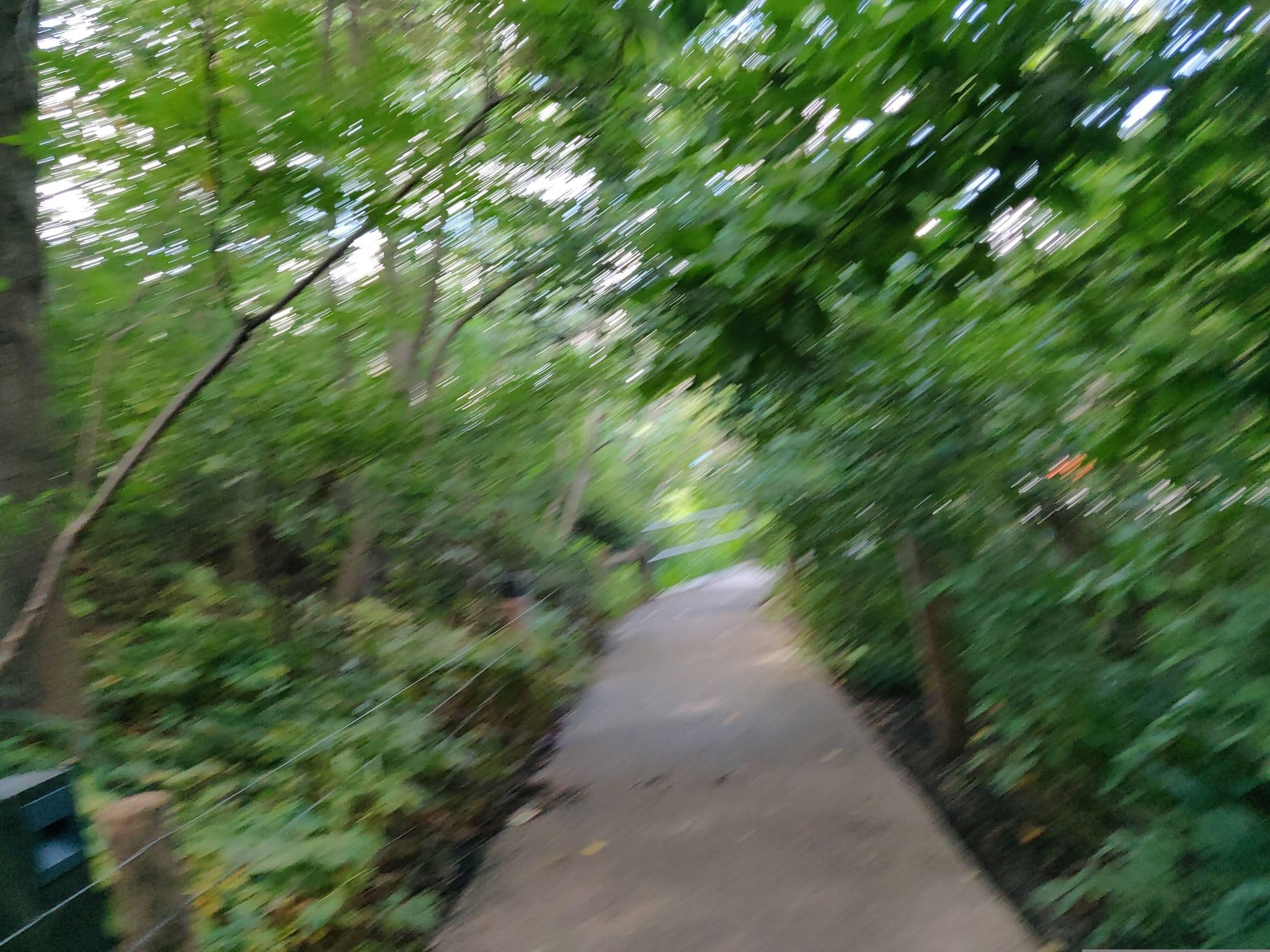 Street view near Rooftop Pool, Brooklyn Heights — © Yha1 (CC BY-SA · Mapillary)