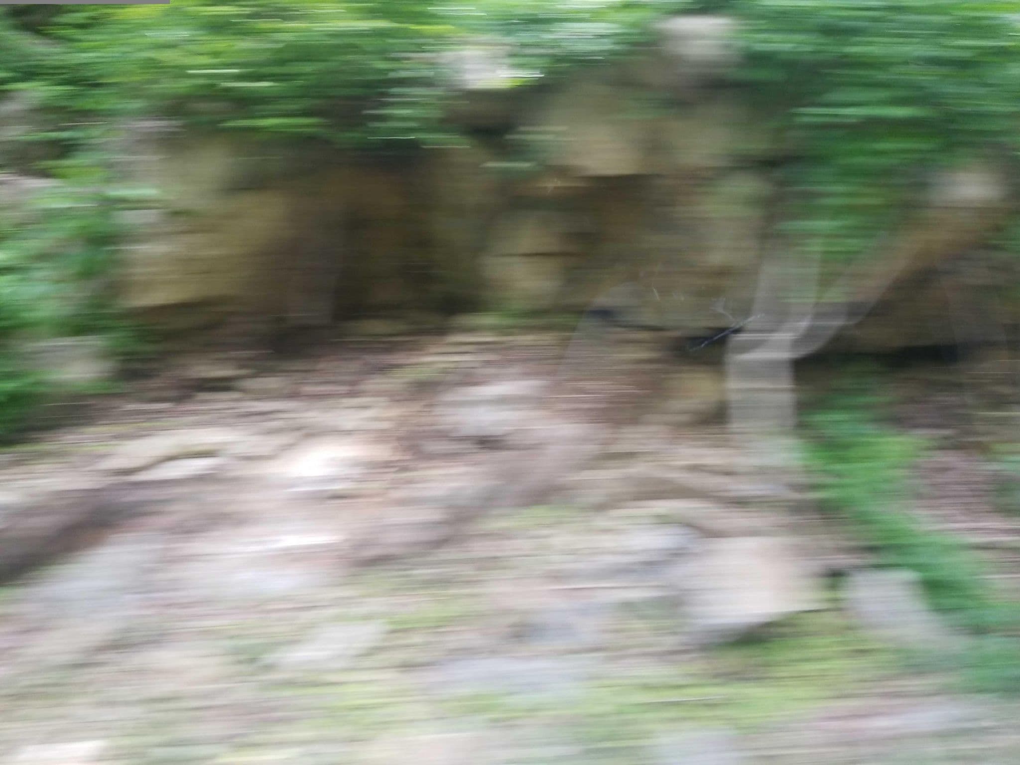 Street view near Bear Mountain Inn, Fort Montgomery — © DrivingRoundTown (CC BY-SA · Mapillary)