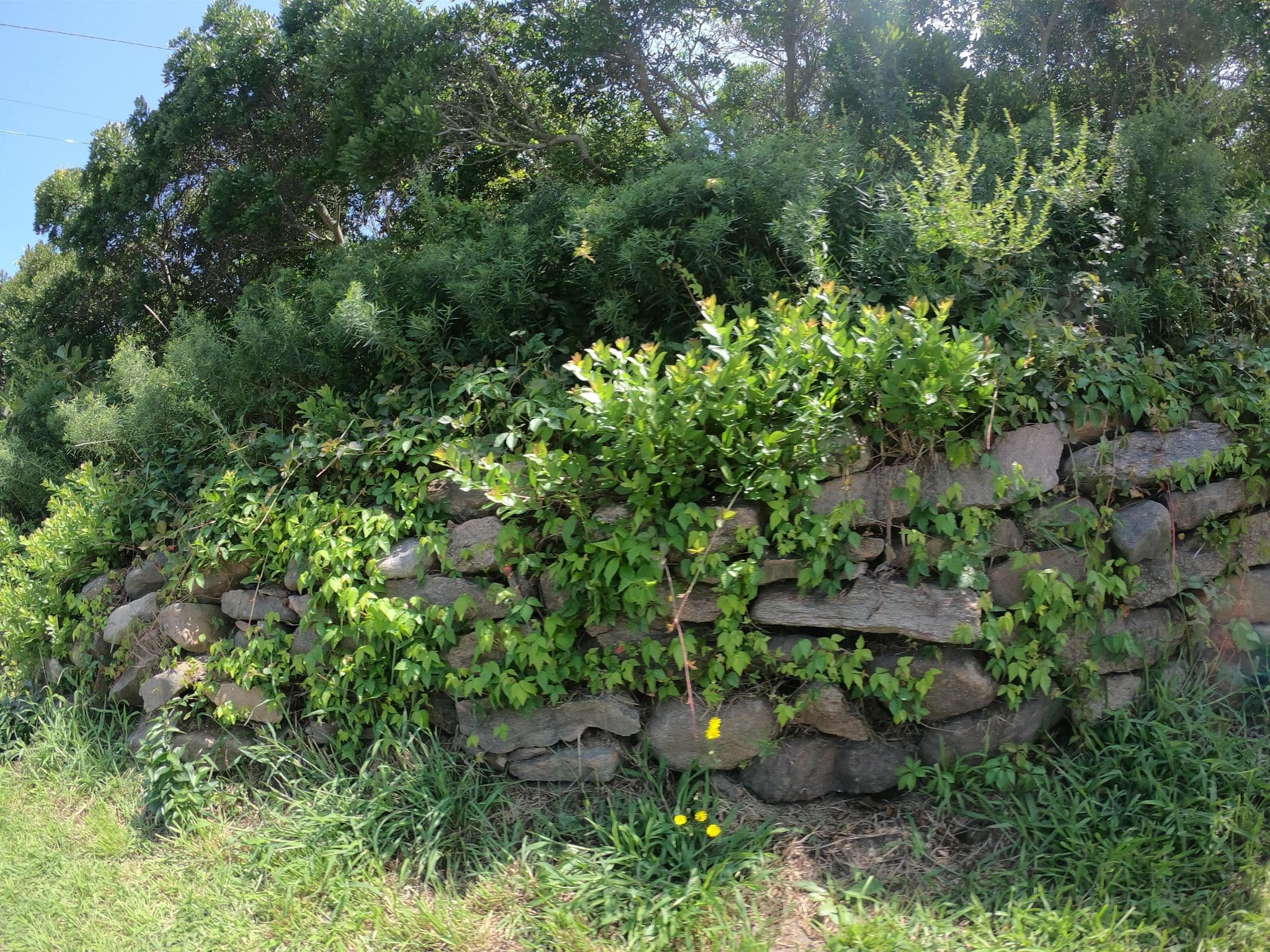 Street view near Corn Neck Farm Bed and Breakfast, New Shoreham — © roadgeek_md99 (CC BY-SA · Mapillary)