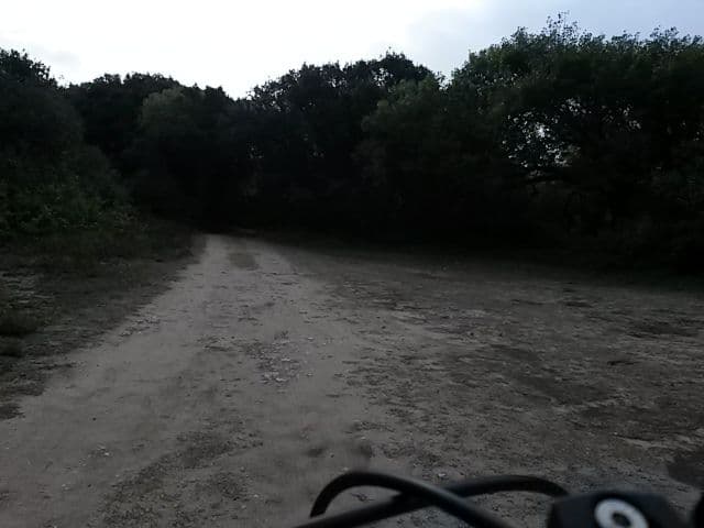 Street view near Camping La Perroche Plage, Dolus-d'Oléron — © rausk (CC BY-SA · Mapillary)