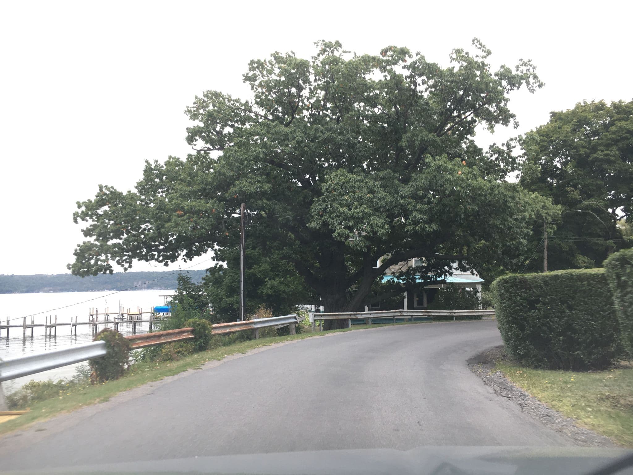 Street view near Silver Strand B&B, Trumansburg — © cpels23 (CC BY-SA · Mapillary)
