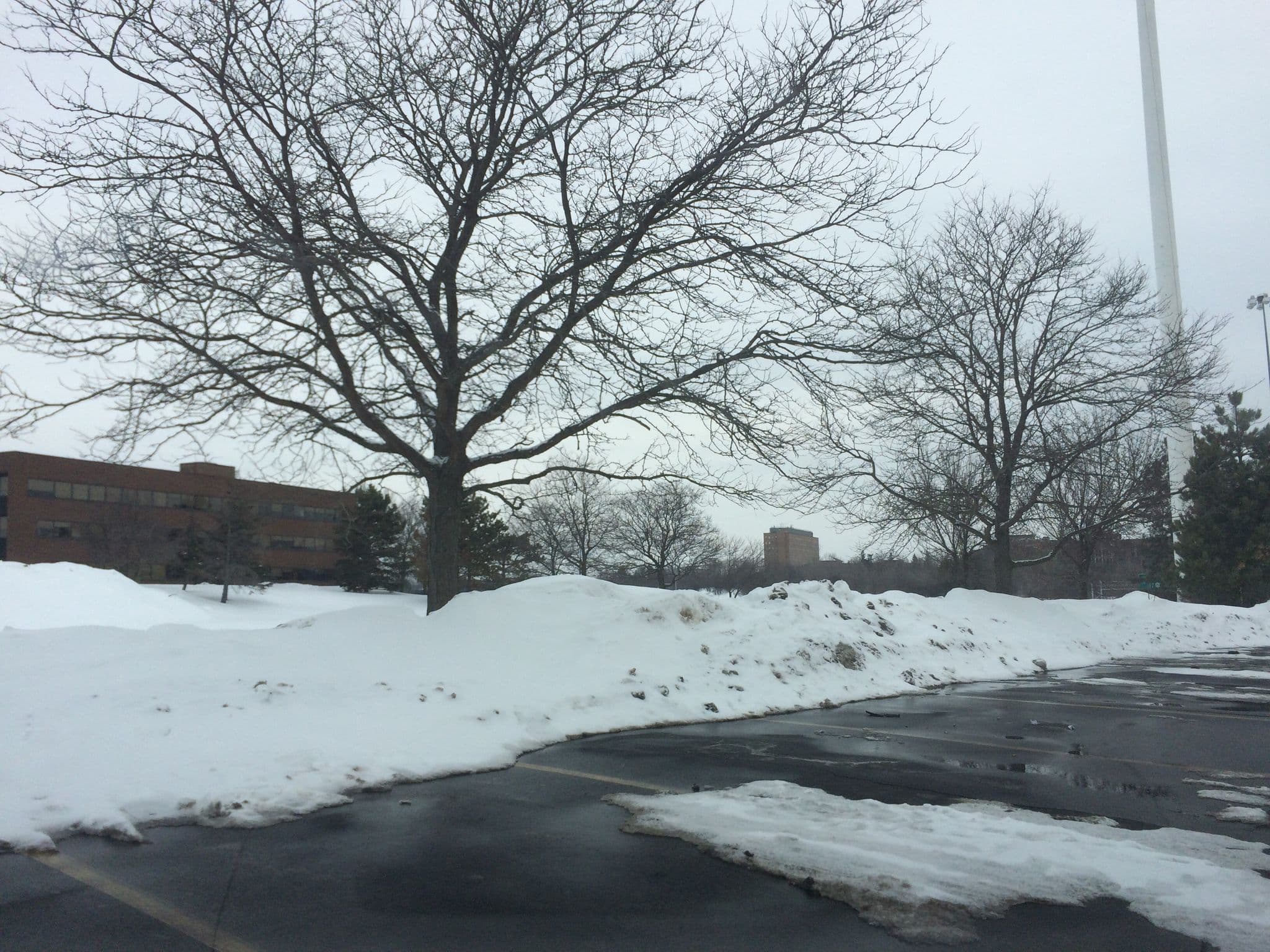 Street view near La Quinta Inn & Suites Rochester South, Rochester — © jjh (CC BY-SA · Mapillary)