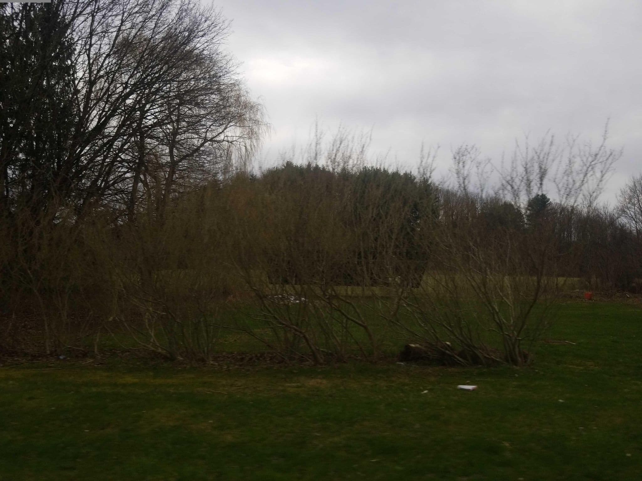 Street view near The Cottage, Ira — © DrivingRoundTown (CC BY-SA · Mapillary)