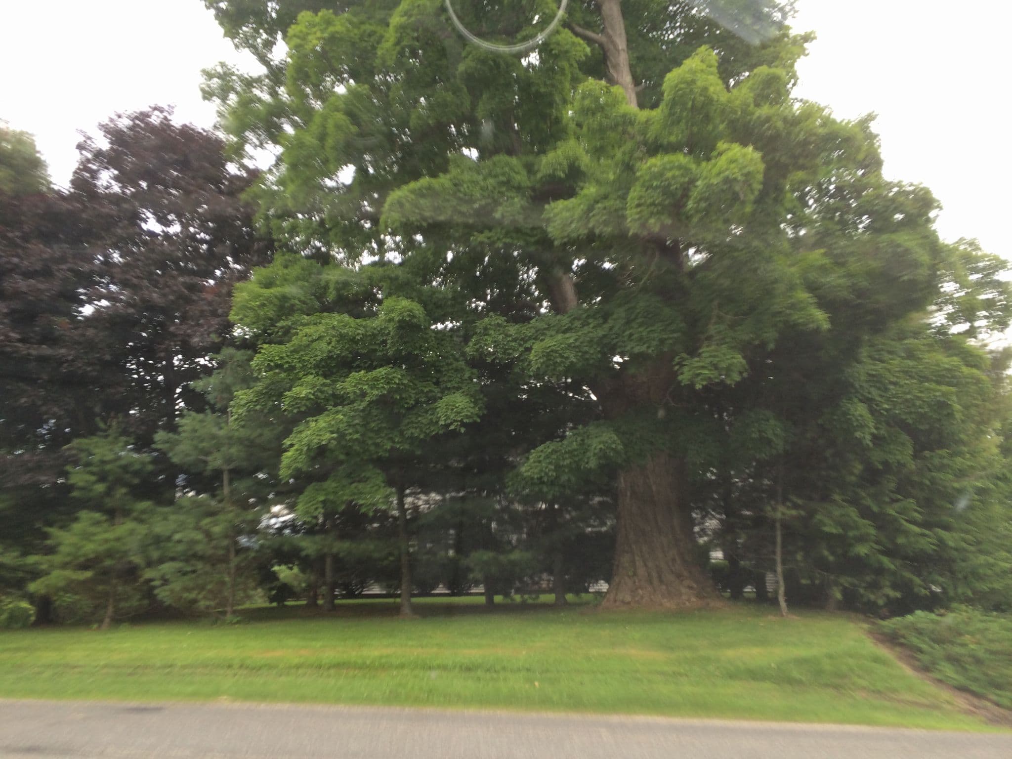 Street view near Tuckered Turkey, Lanesborough — © anavz (CC BY-SA · Mapillary)