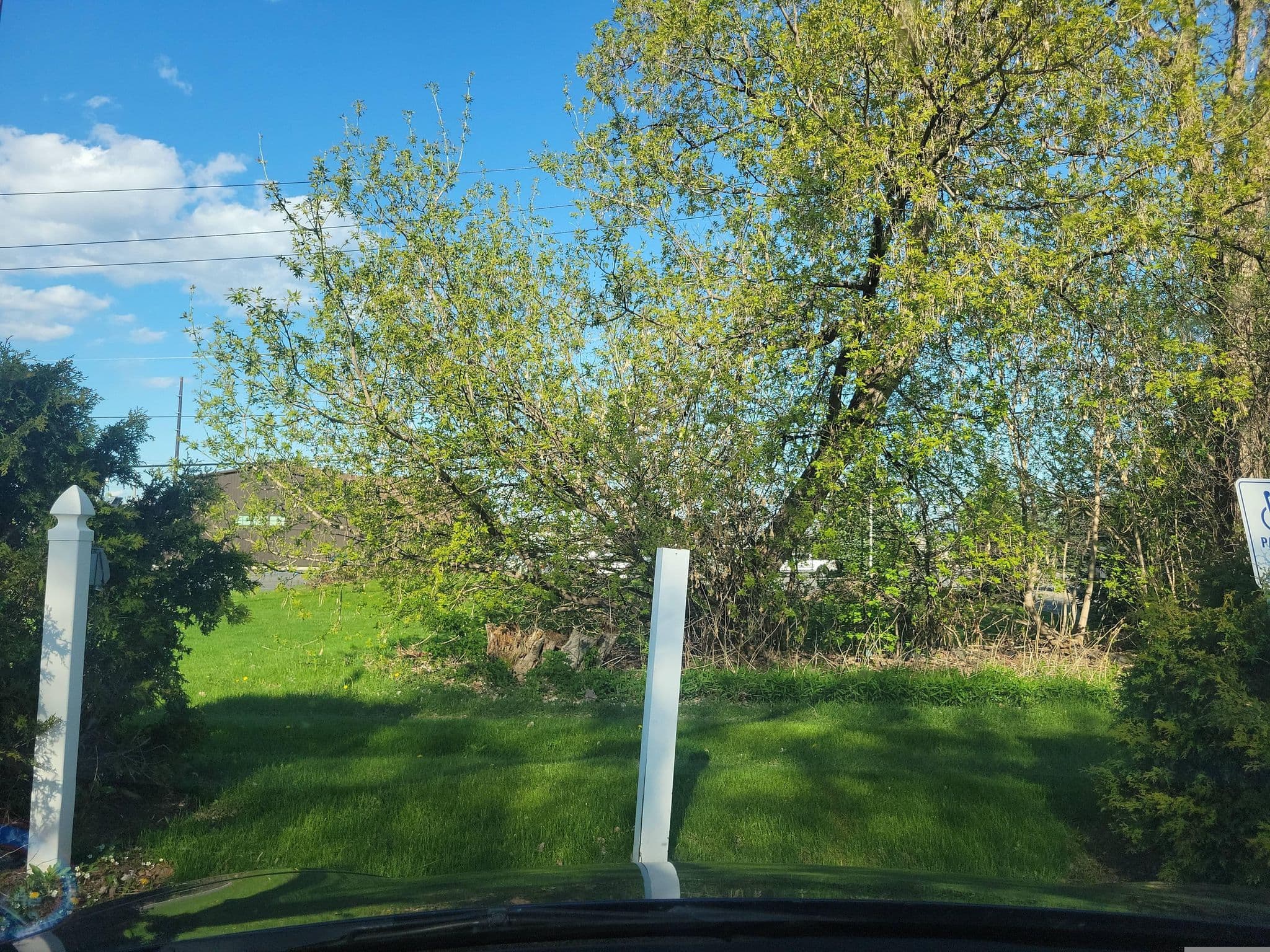 Street view near Quality Inn, Plattsburgh West — © Montrose_Lyle (CC BY-SA · Mapillary)