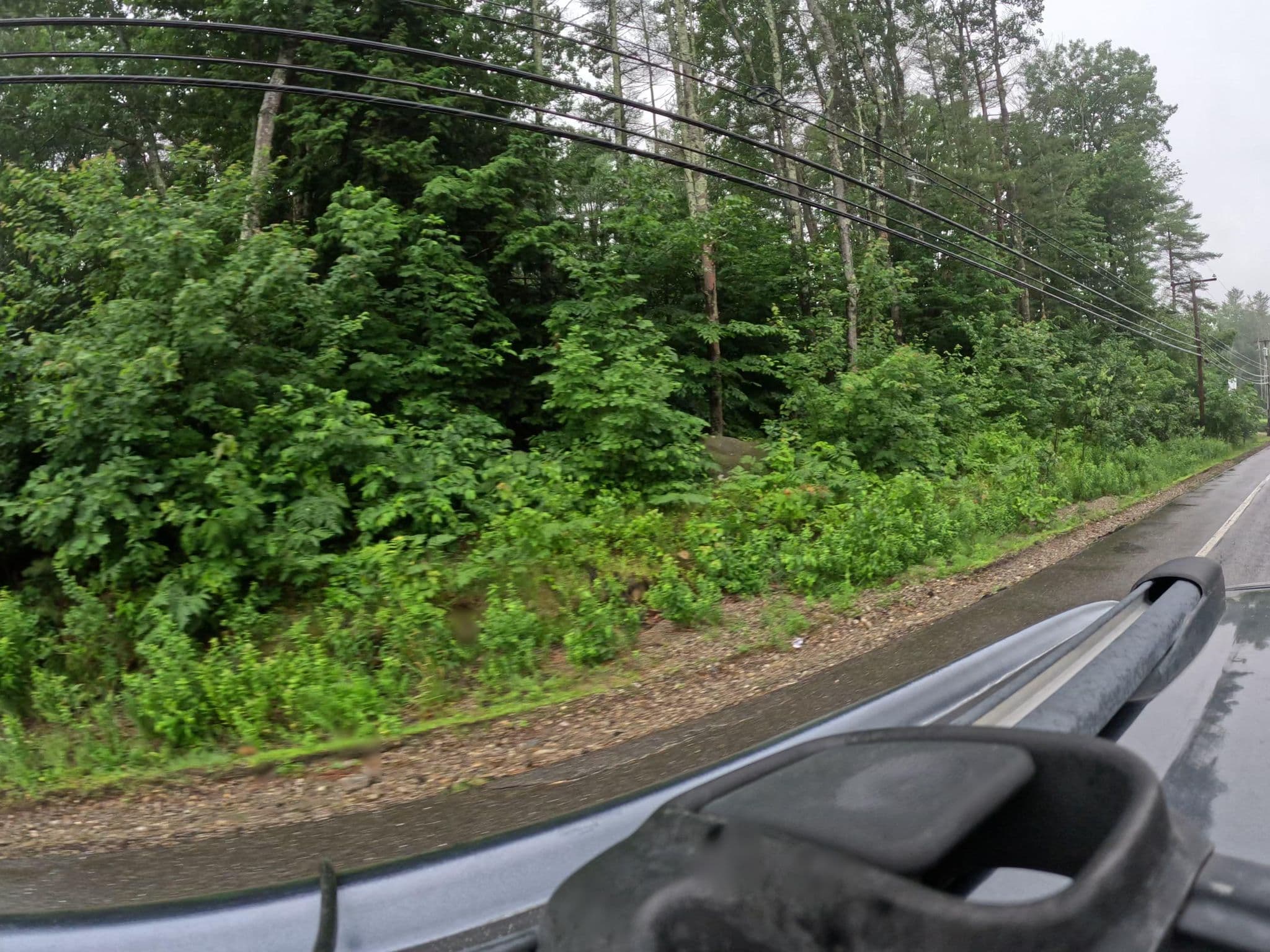 Street view near Northwood Motel, Epsom — © vorpalblade (CC BY-SA · Mapillary)