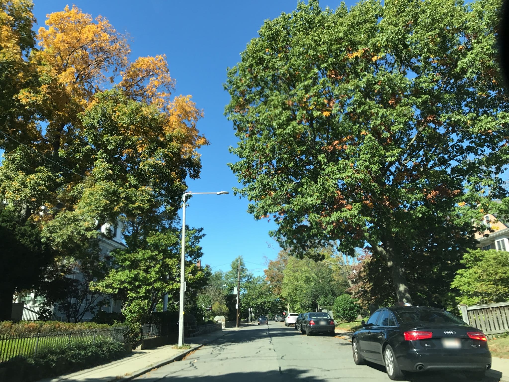 Street view near Taylor House Bed And Breakfast, Jamaica Plain — © lxmbos5 (CC BY-SA · Mapillary)