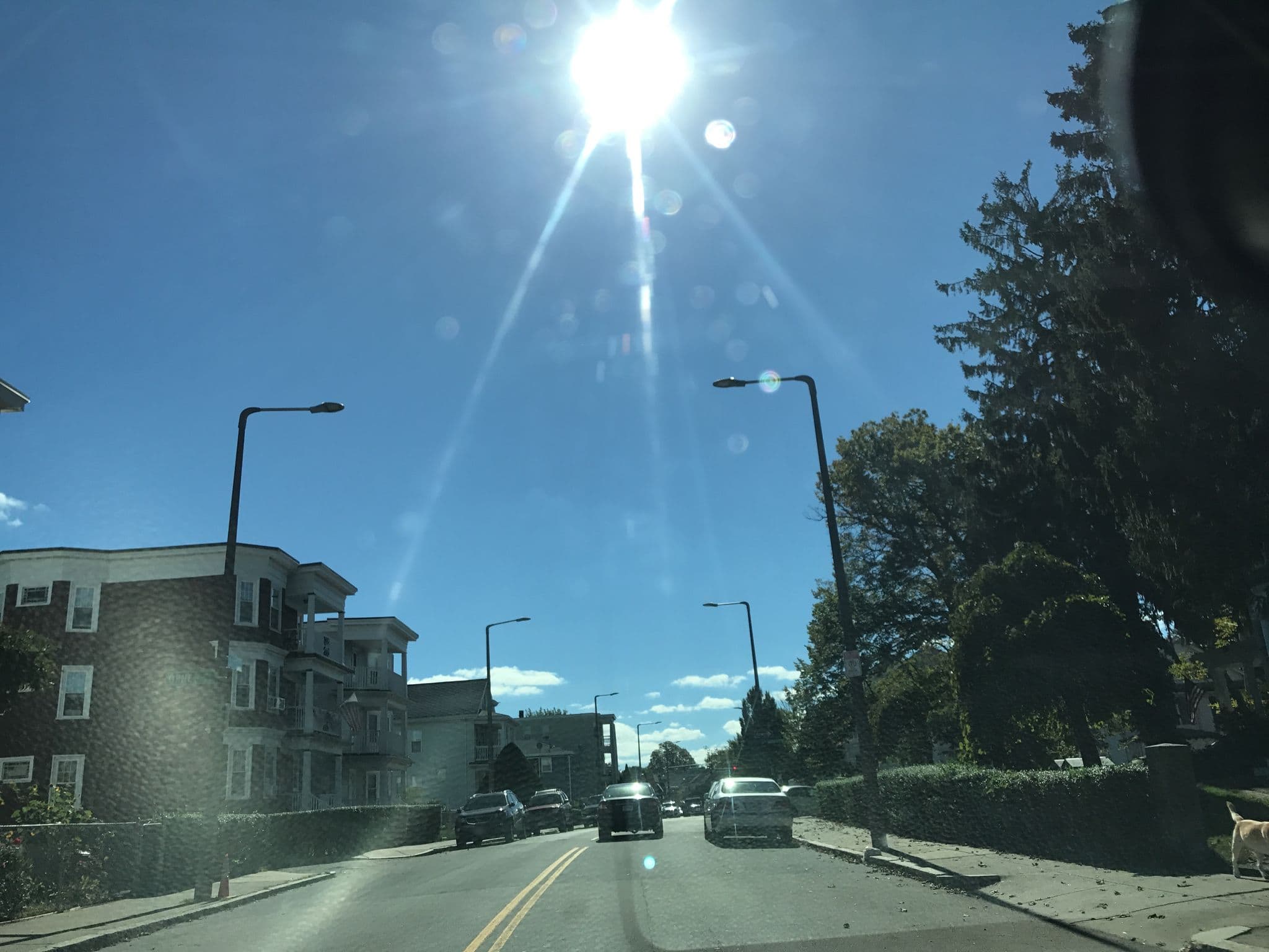 Street view near Bill's Place, Ashmont — © lxmbos5 (CC BY-SA · Mapillary)