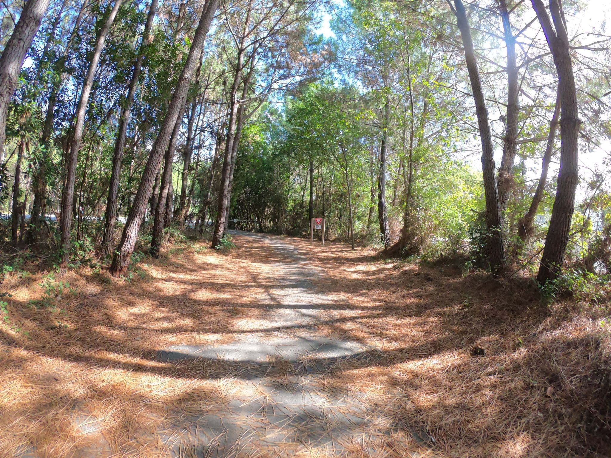 Street view near Halte nocturne de L'Herbe, Arcachon — © gitouche (CC BY-SA · Mapillary)