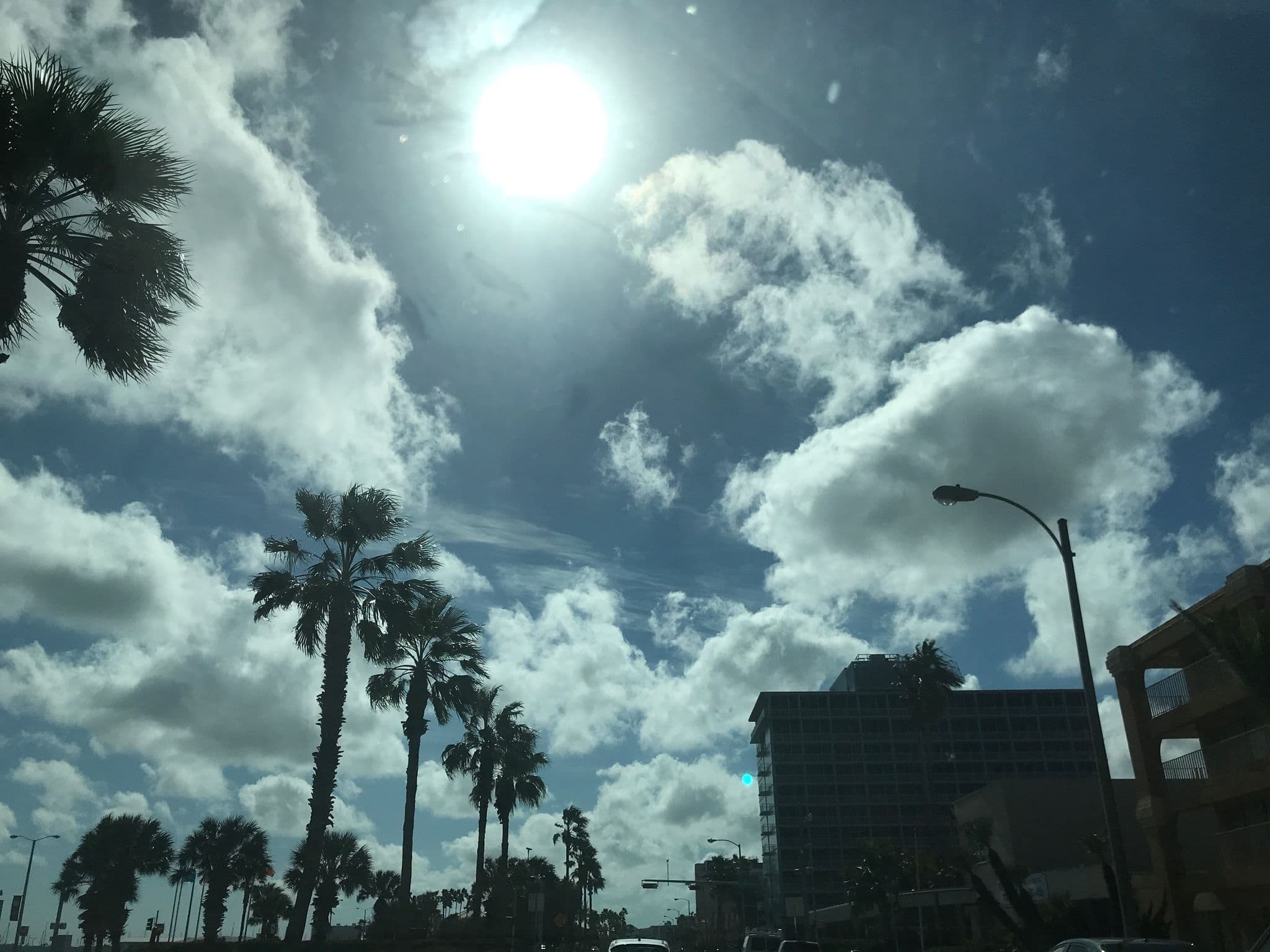Street view near Super 8, Corpus Christi — © inklingboi02 (CC BY-SA · Mapillary)