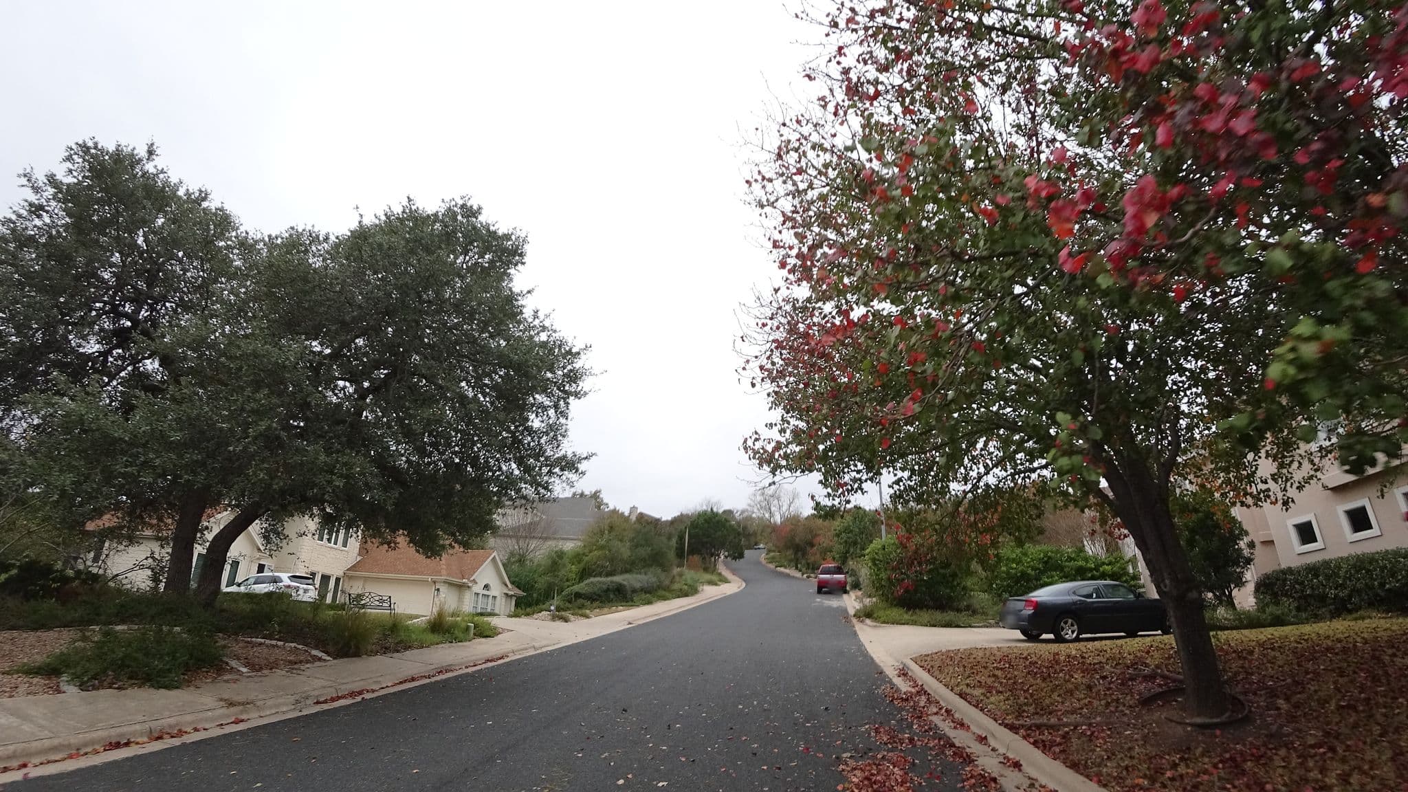 Street view near A Bed & Breakfast, Jollyville — © mly_aus06 (CC BY-SA · Mapillary)