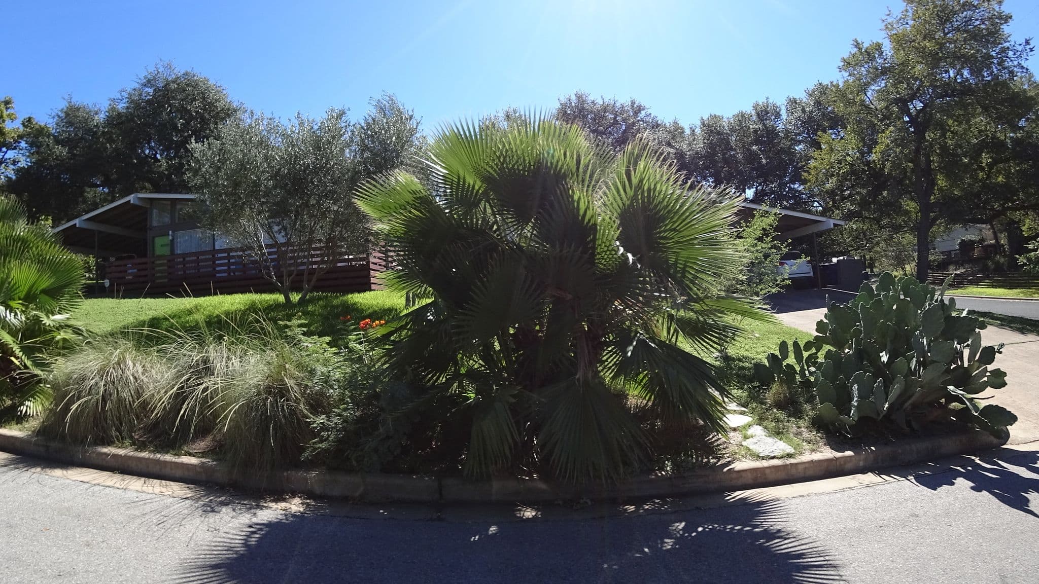 Street view near Travis Heights Modern I, Austin — © mly_aus01 (CC BY-SA · Mapillary)