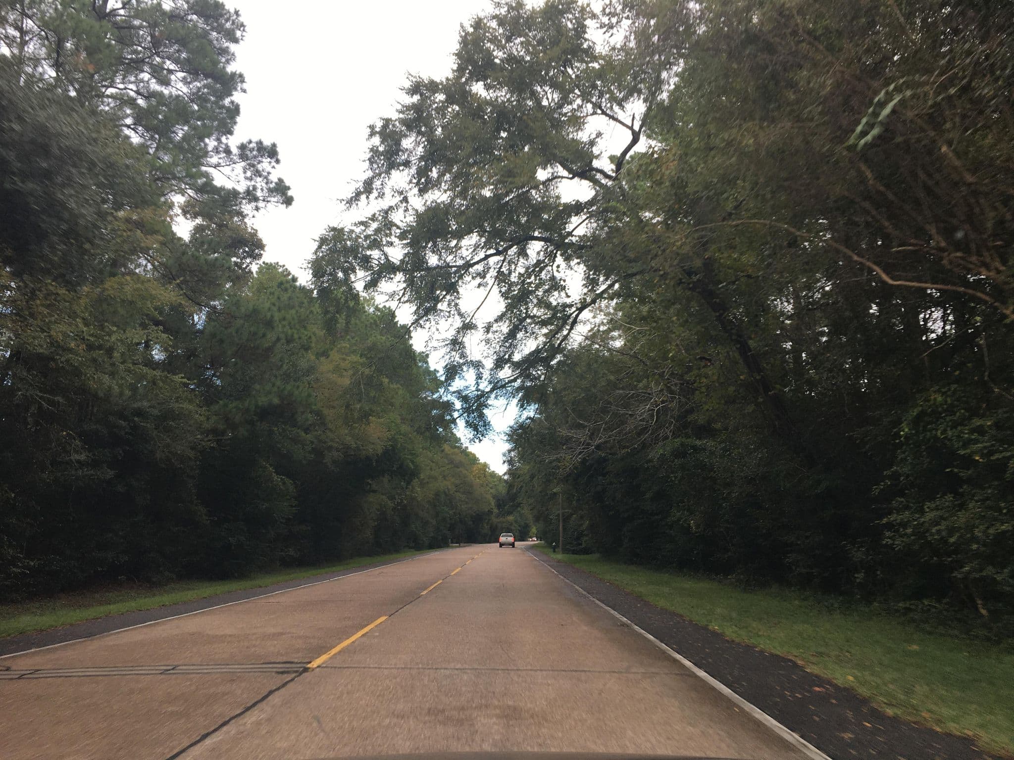 Street view near Wyndham Hotels & Resorts, The Woodlands — © dangetz (CC BY-SA · Mapillary)