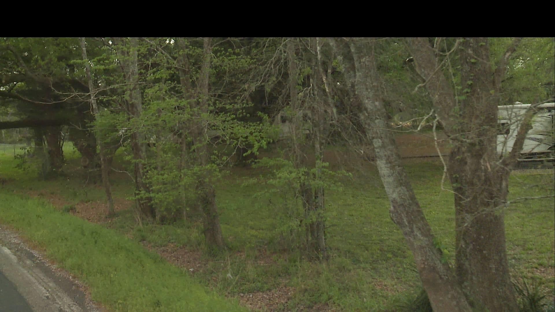 Street view near Evangeline Oaks RV Park, Opelousas — © WR2_2023 (CC BY-SA · Mapillary)