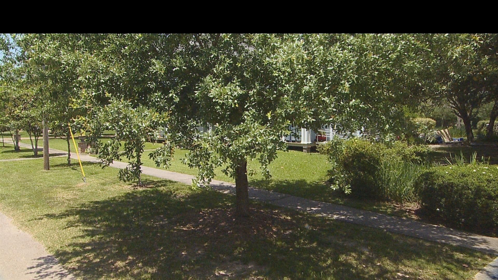 Street view near Hughes House Bed & Breakfast, Natalbany — © Loc_WR (CC BY-SA · Mapillary)