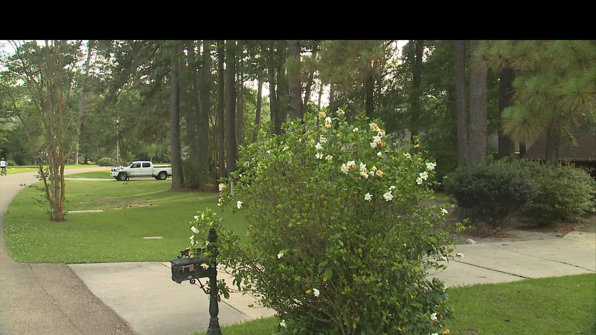 Street view near Hedrick’s Hop House, Mandeville — © WR2_2023 (CC BY-SA · Mapillary)