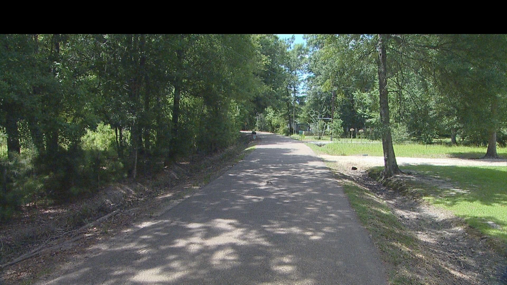 Street view near MCM Hammond, Ponchatoula — © FF_Loc1 (CC BY-SA · Mapillary)