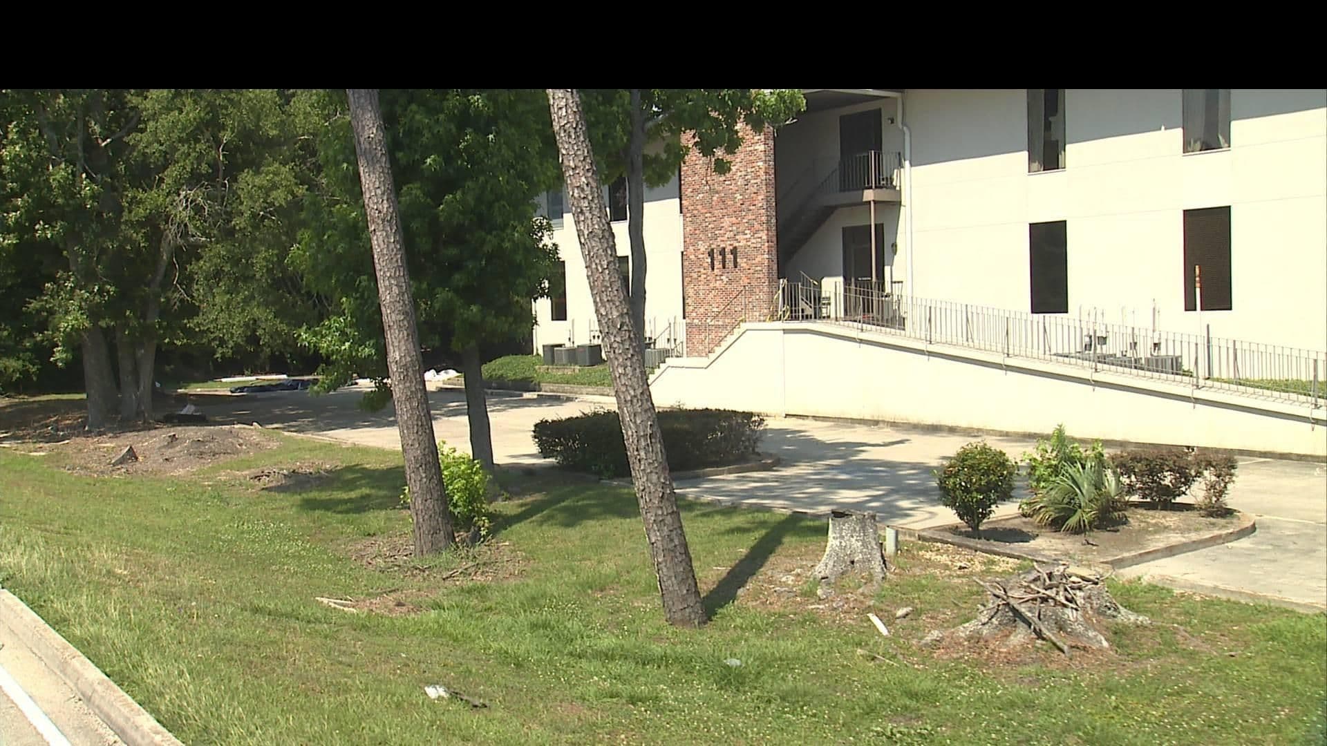 Street view near Miller Murphy Travel, Mandeville — © WR2_2023 (CC BY-SA · Mapillary)