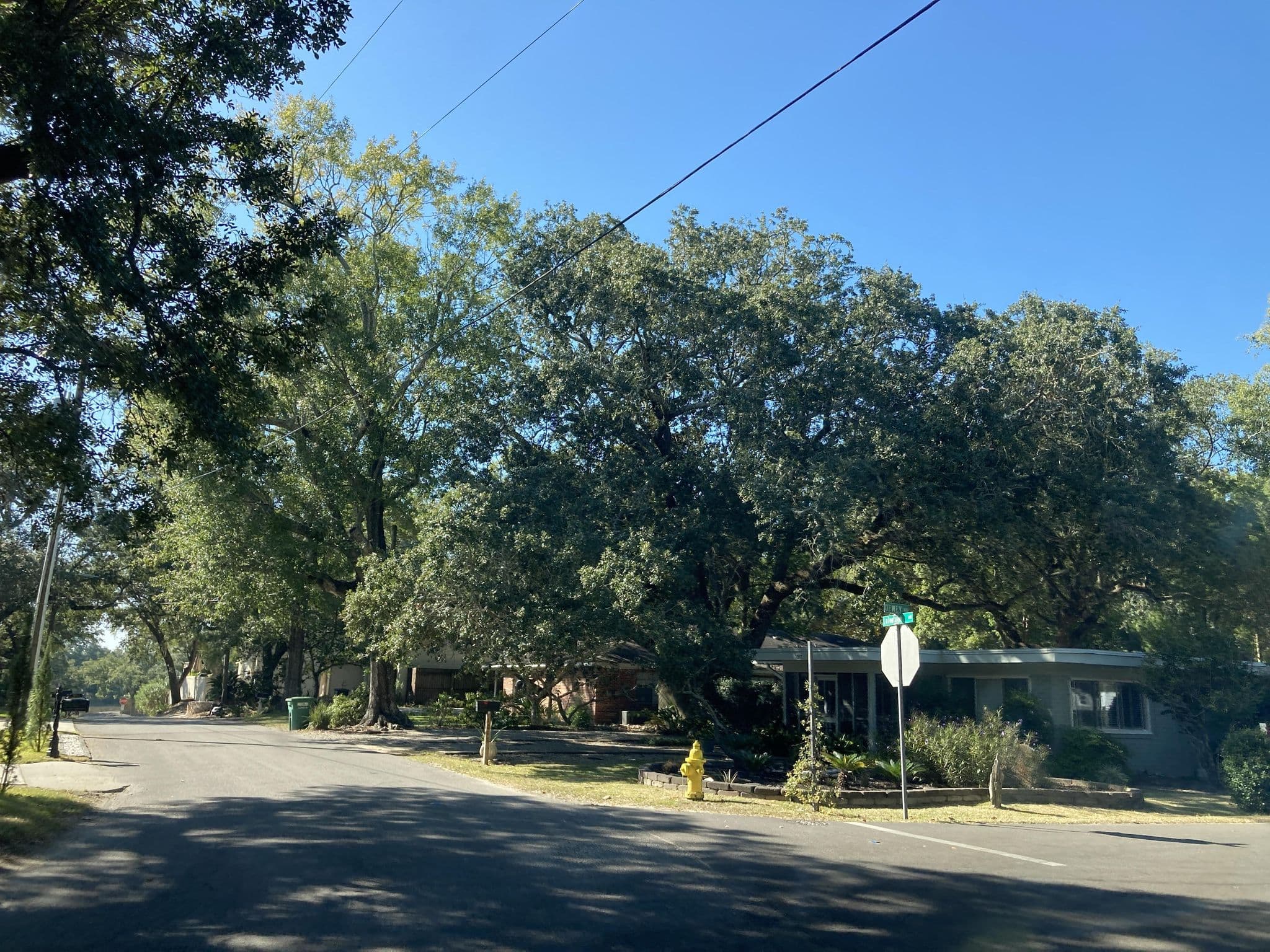 Street view near Oakshade B & B, Ocean Springs — © Bluerocky (CC BY-SA · Mapillary)