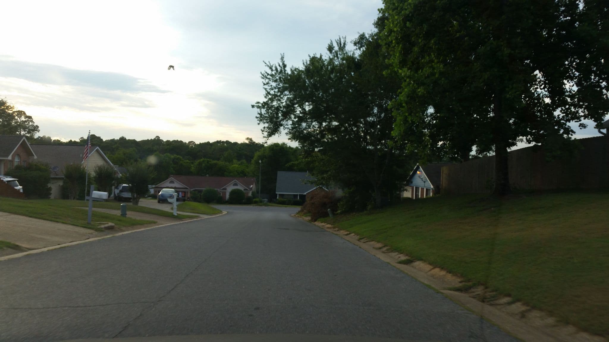 Street view near Infinity and Beyond~, Ferry Pass — © caboosey (CC BY-SA · Mapillary)