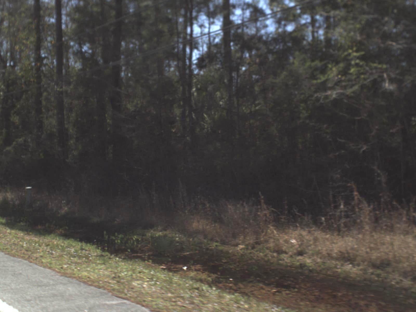 Street view near Sweet Magolia Inn, Crawfordville — © fdot_vl (CC BY-SA · Mapillary)