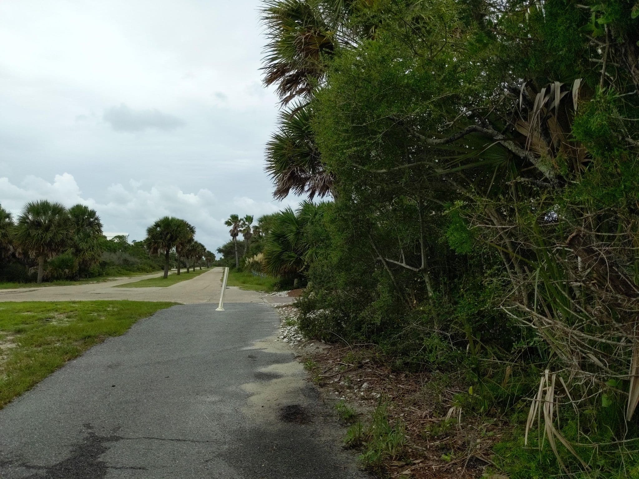 Street view near Diamond Seas, Apalachicola — © maxolasersquad (CC BY-SA · Mapillary)