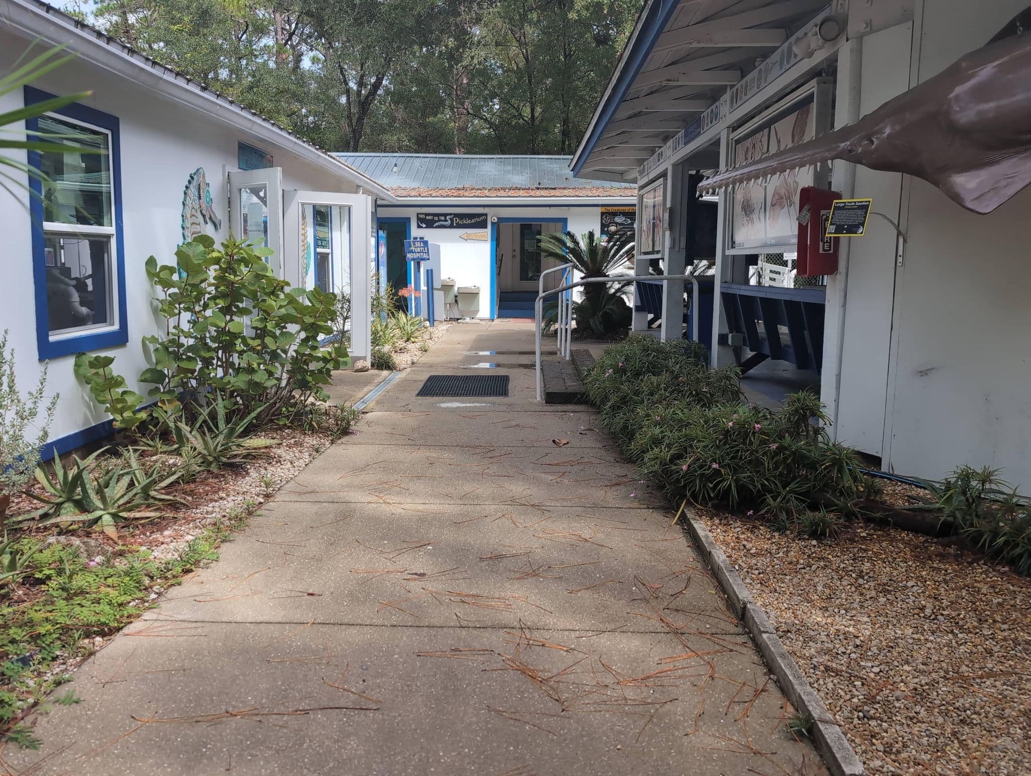 Street view near Gulf Specimen Marine Laboratories, Crawfordville — © maxolasersquad (CC BY-SA · Mapillary)