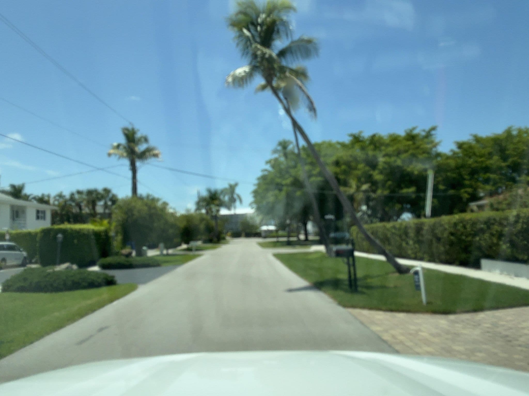 Street view near Nelson's Landing, Naples — © robeh92 (CC BY-SA · Mapillary)