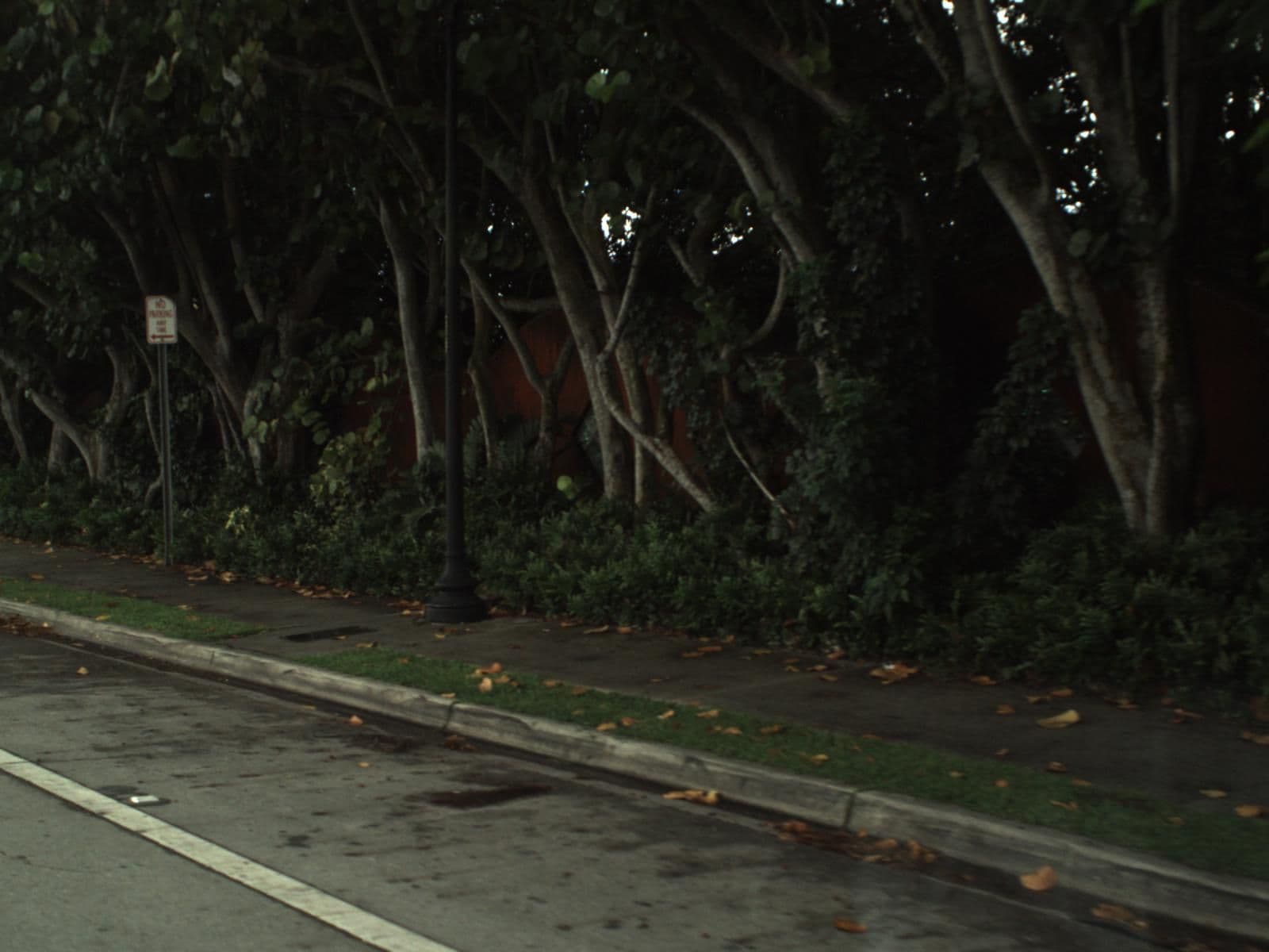 Street view near Everglades Hostel and Tours- An Urban Oasis, Florida City — © fdot_vl (CC BY-SA · Mapillary)