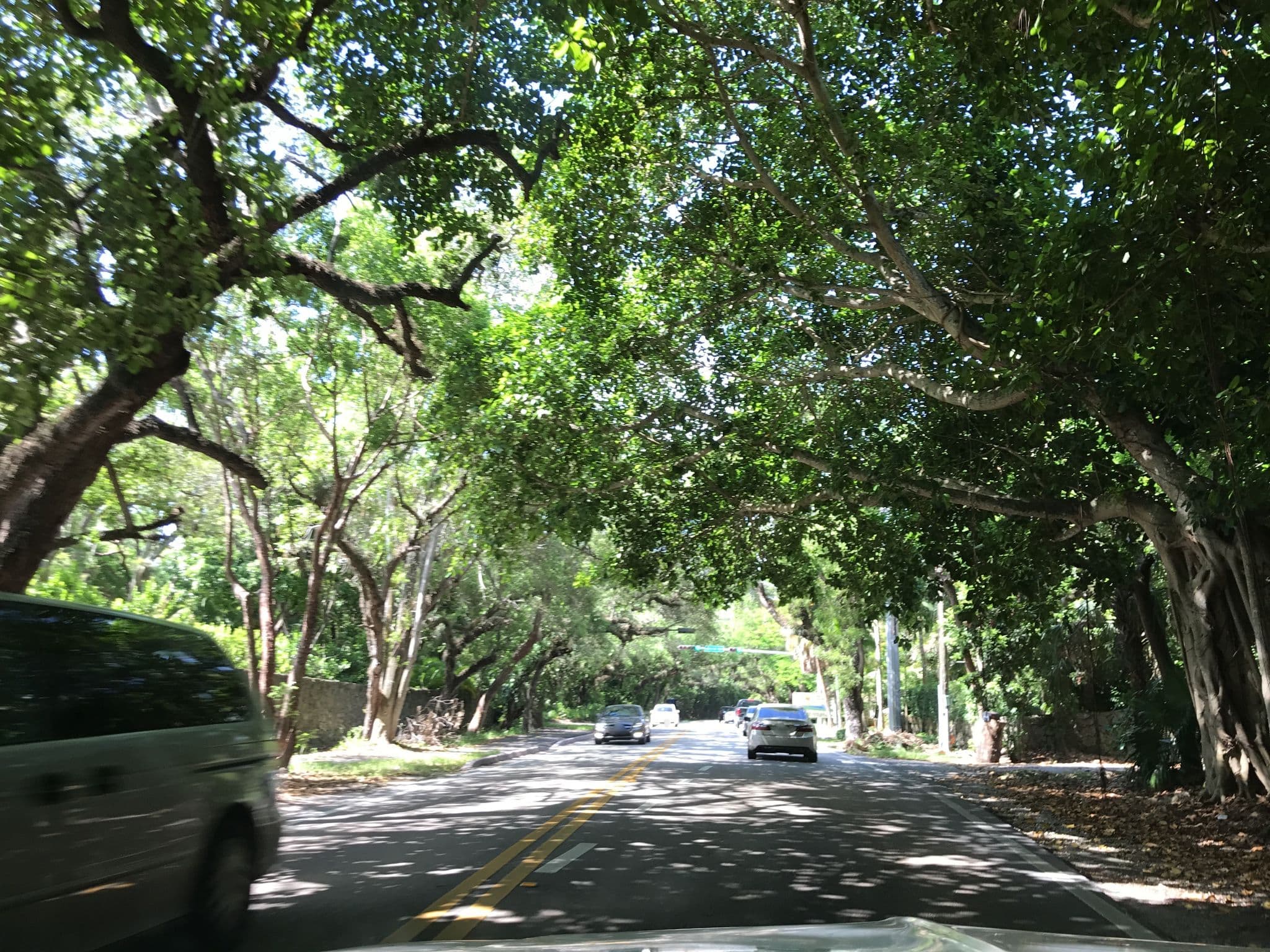 Street view near Hotel Blumberg, South Miami — © holoman (CC BY-SA · Mapillary)