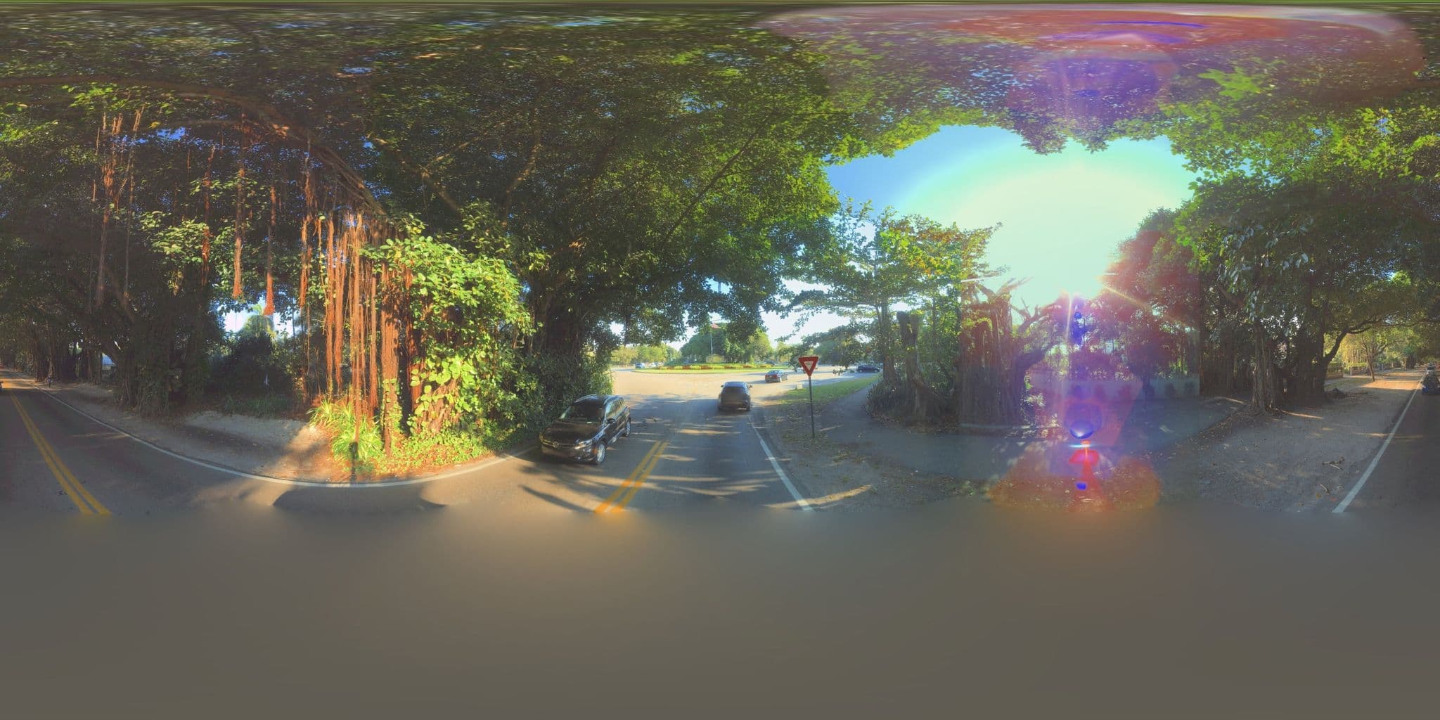 Street view near Paula Dean Brunch @ Lowes Hotel, Coconut Grove — © microsoft (CC BY-SA · Mapillary)