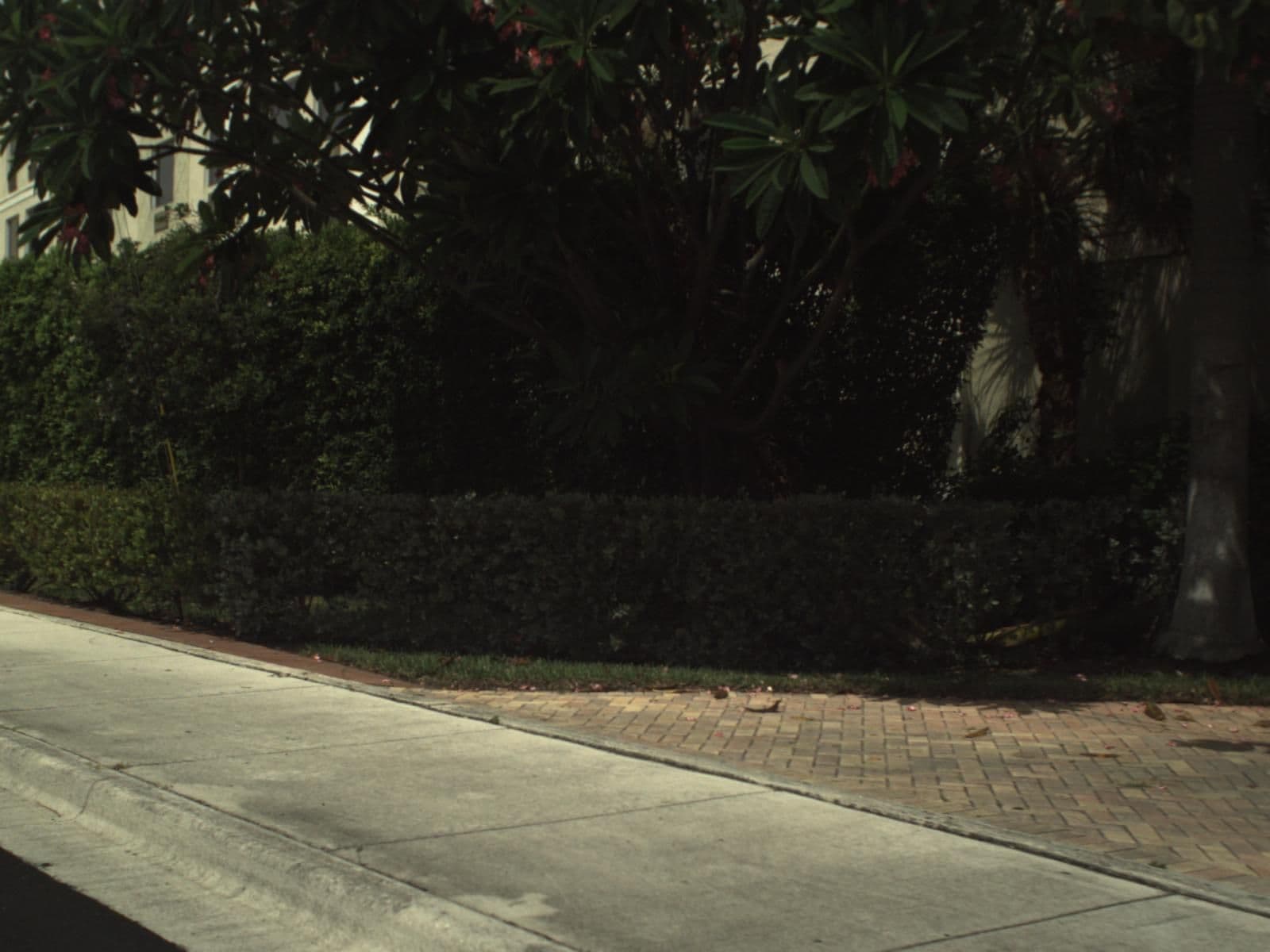 Street view near Hampton Inn by Hilton, West Palm Beach — © fdot_vl (CC BY-SA · Mapillary)