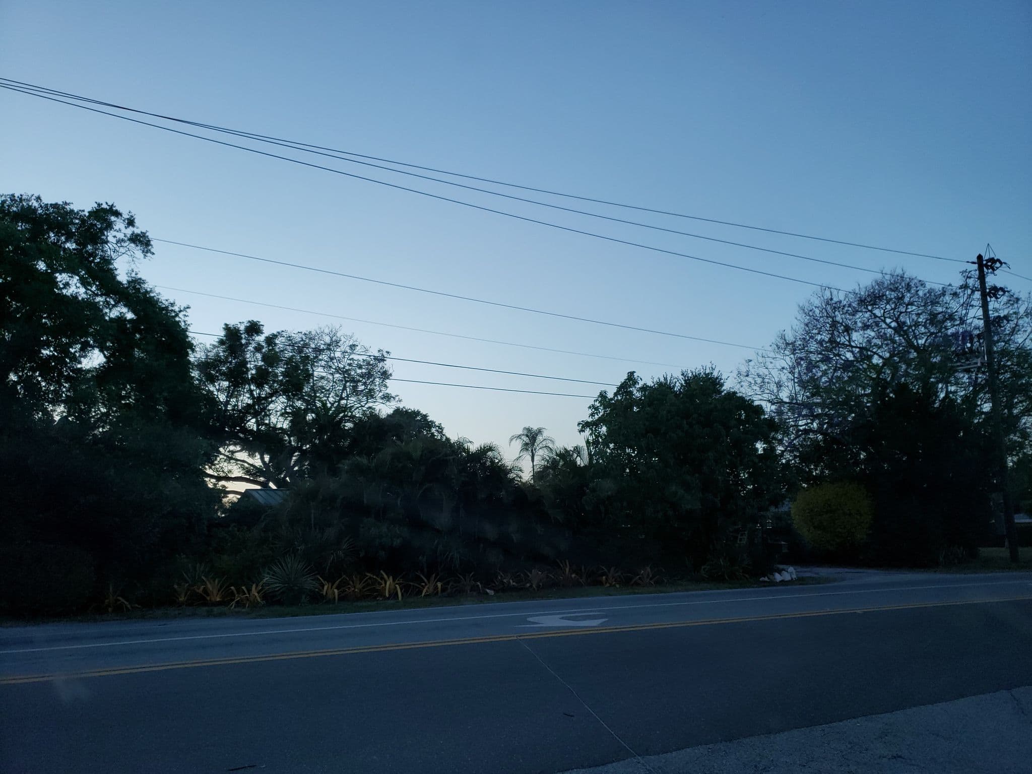 Street view near 8th Ave SW & Indian Rocks Rd, Harbor Bluffs — © jackdripper (CC BY-SA · Mapillary)
