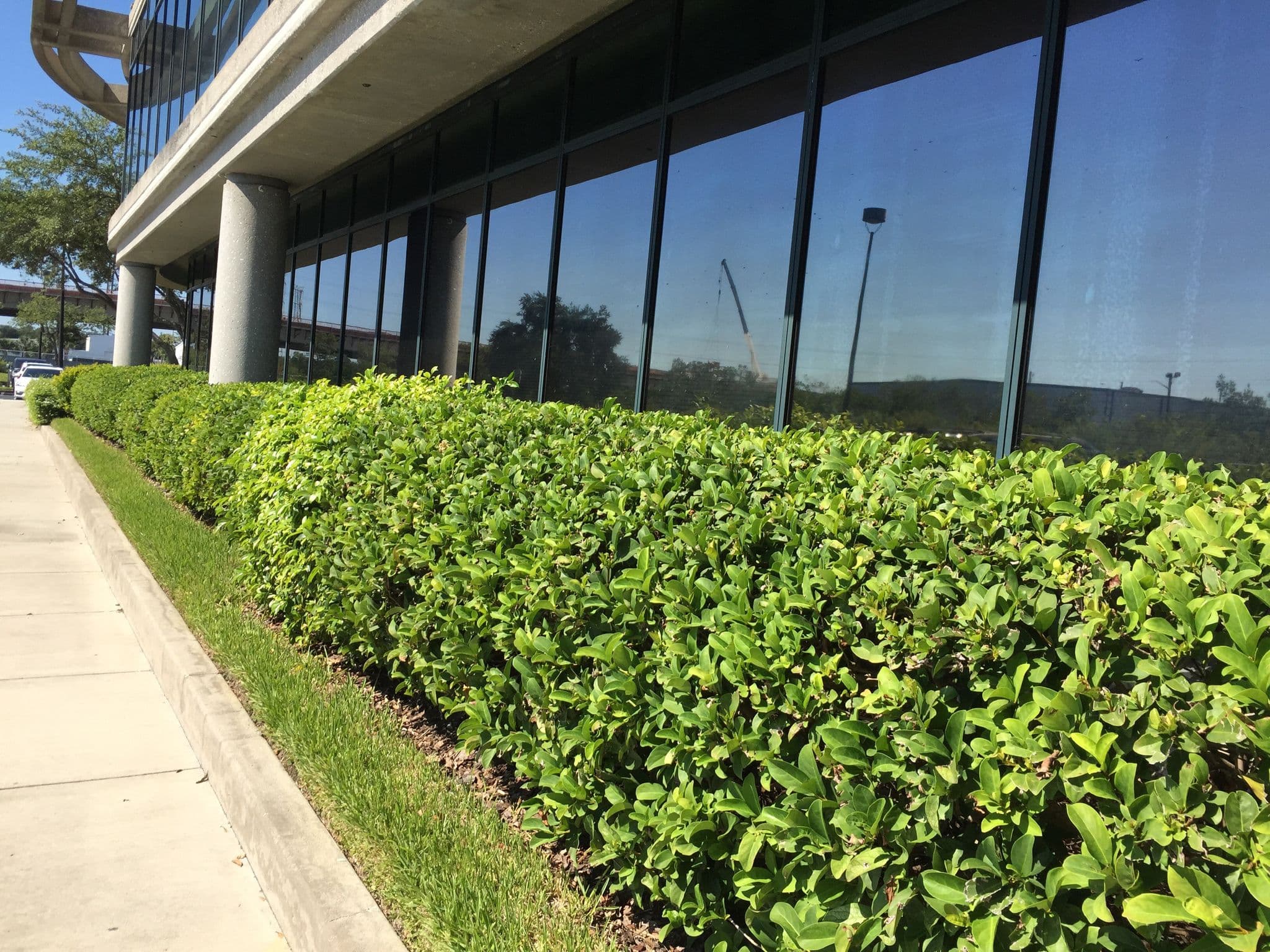 Street view near Cay Clubs International, South Highpoint — © zacmcc (CC BY-SA · Mapillary)