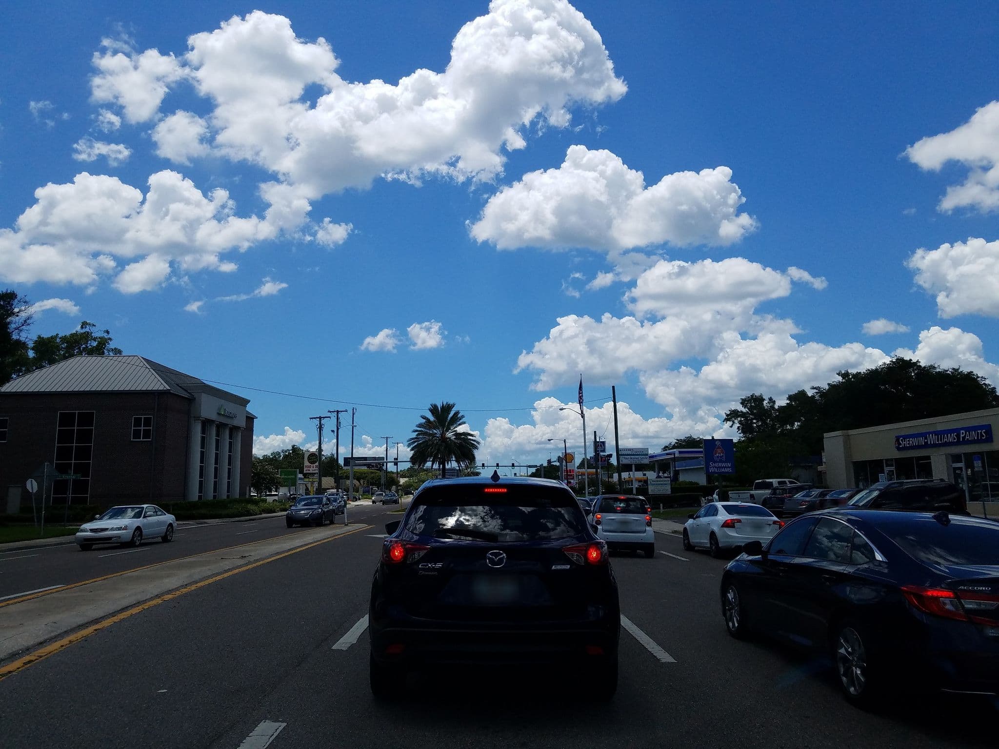 Street view near dreamy resort, Tampa — © jackdripper (CC BY-SA · Mapillary)
