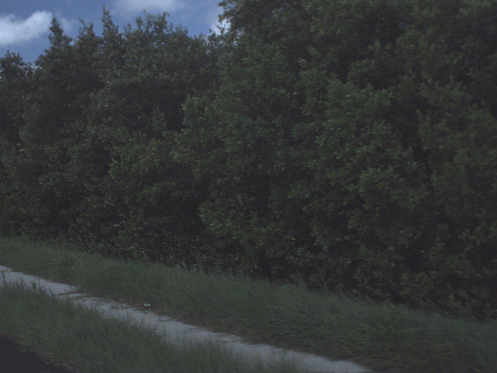 Street view near Sandpearl Valet Cashier's Office, Palm Harbor — © fdot_vl (CC BY-SA · Mapillary)