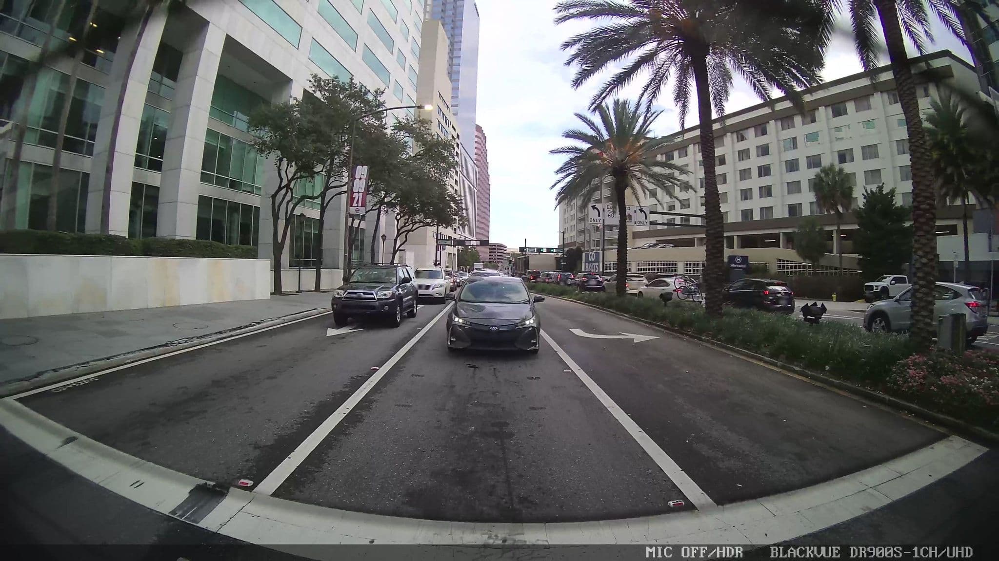 Street view near Alternative Capital, Tampa — © jackdripper (CC BY-SA · Mapillary)